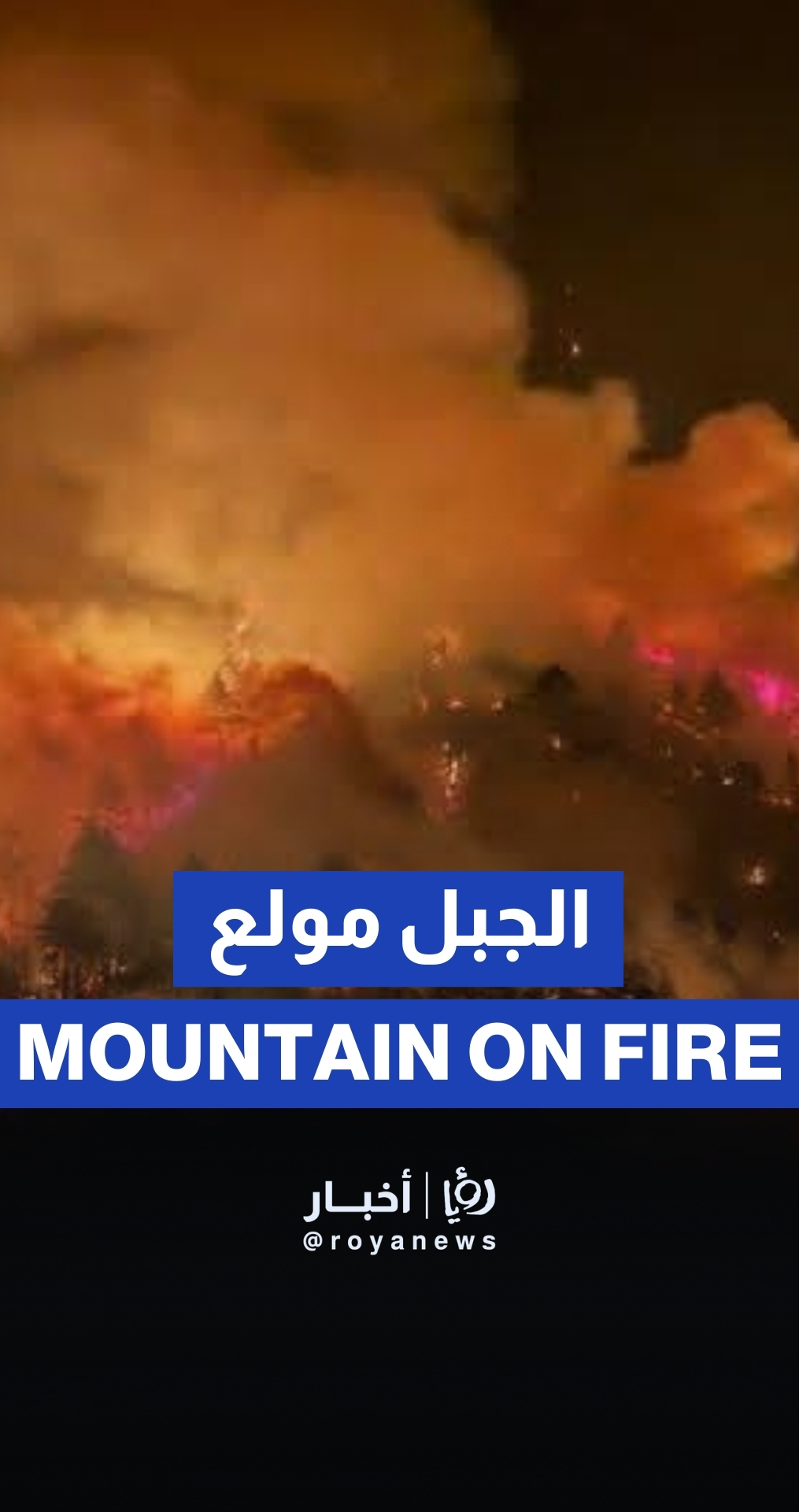 حريق ضخم يجتاح ولاية أروناتشال براديش في الهند