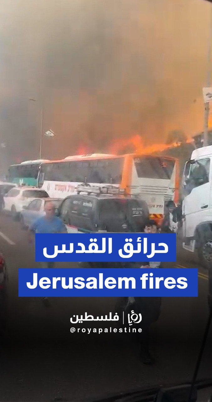 حرائق ضخمة تلتهم أحراش جبال القدس واحتراق مركبات وتل أبيب تطلب مساعدات دولية