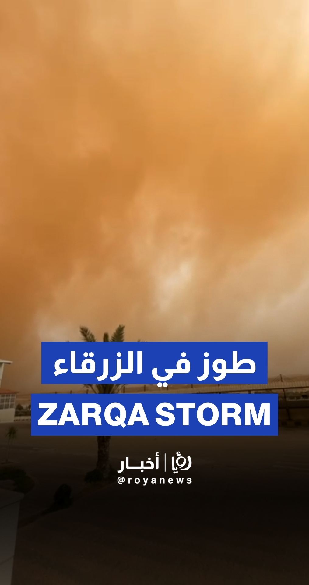 العاصفة الطوز تضرب الزرقاء