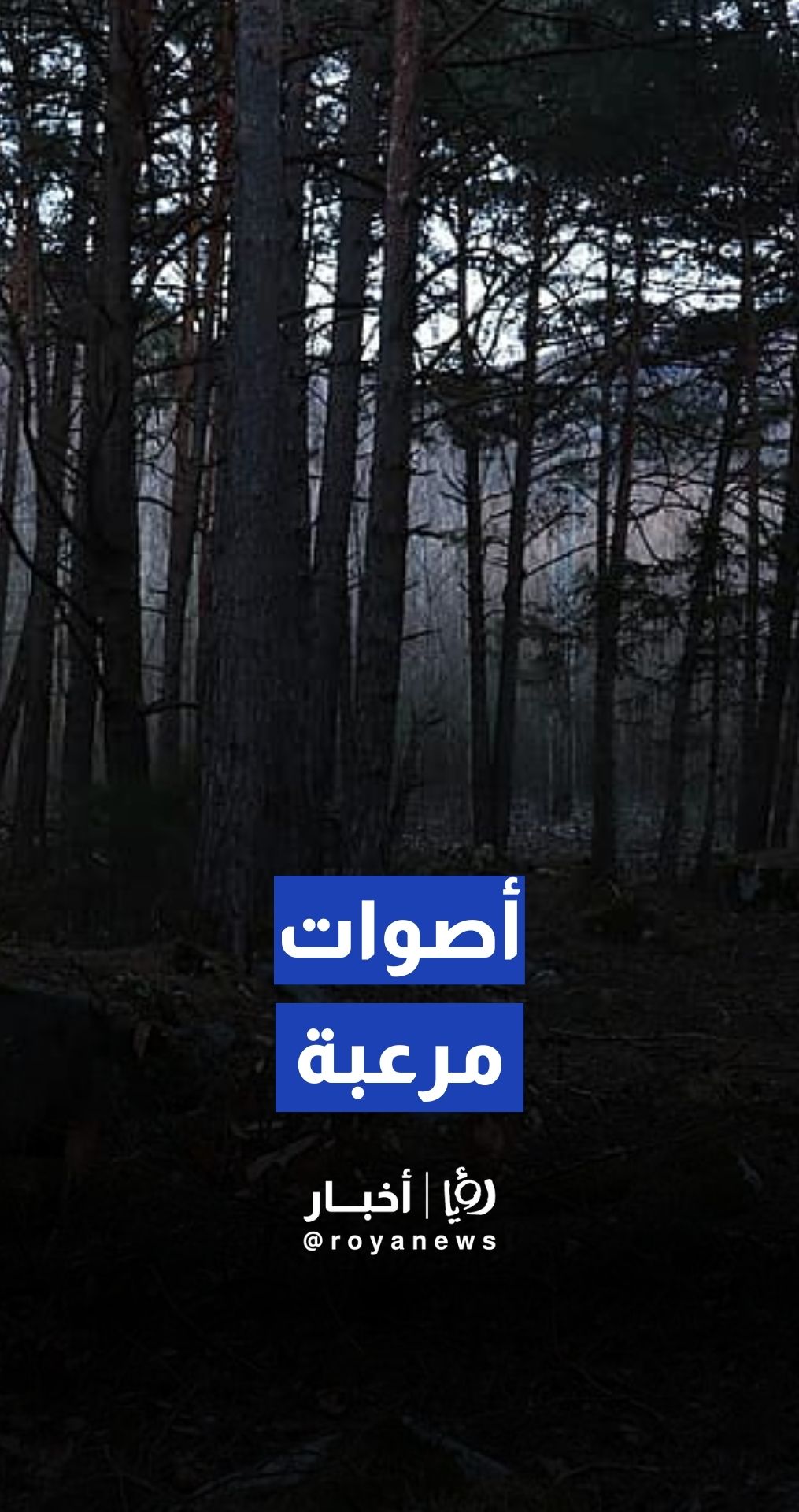 أصوات حيوانات مرعبة تسمع في منطقة برقش