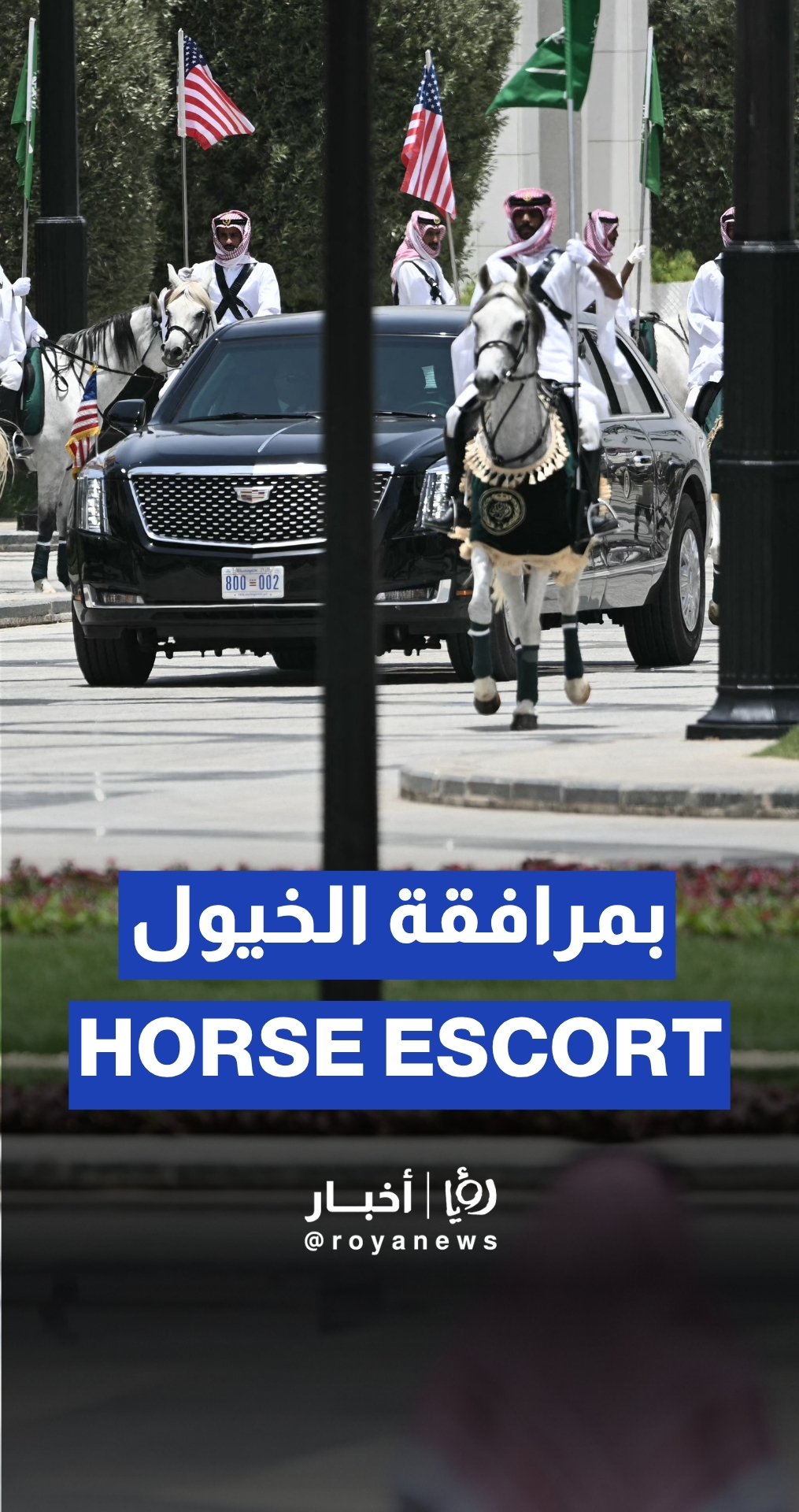 الخيول العربية ترافق موكب ترمب في قصر اليمامة