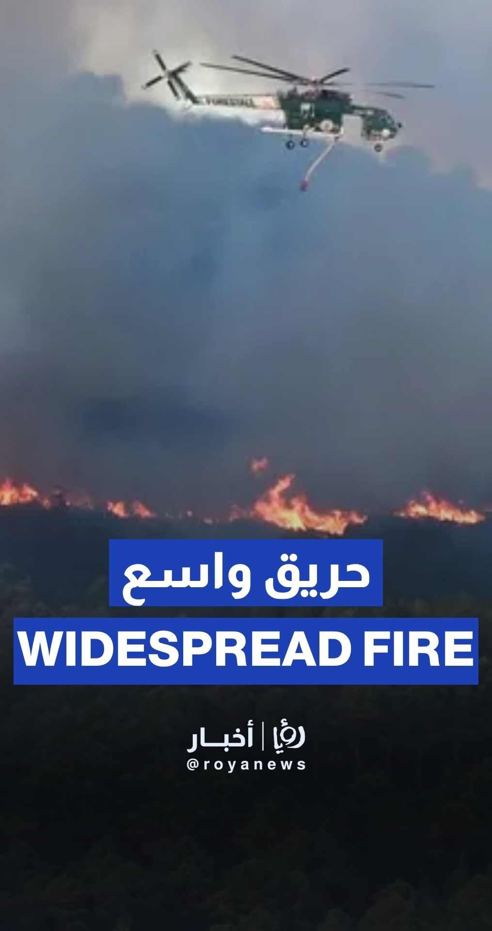 حريق واسع في مقاطعة ماتيرا الإيطالية