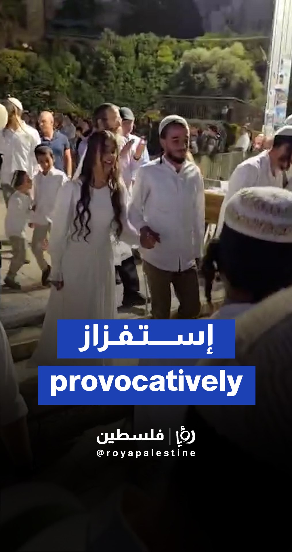 مستوطن ينتهك الحرم الإبراهيمي في الخليل ويقيم حفل زفافه بداخله
