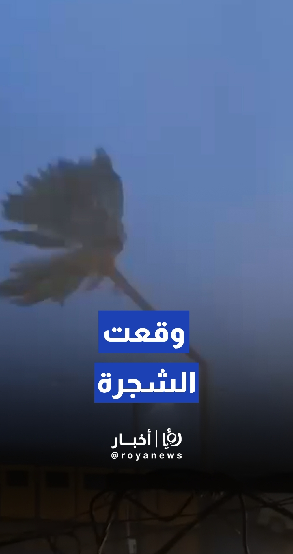 رياح شديدة وأمطار غزيرة في لبنان