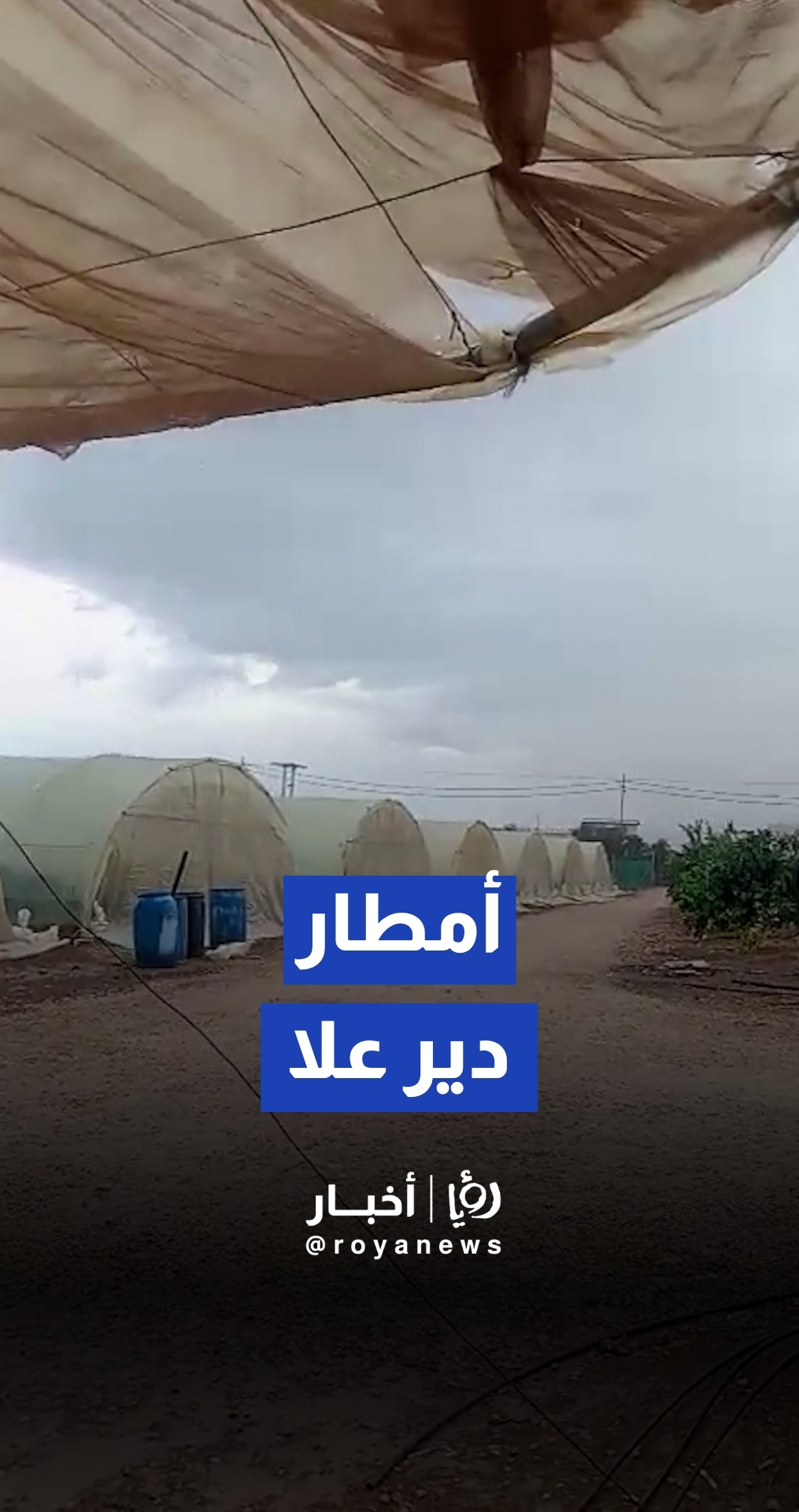 هطول أمطار غزيرة في دير علا بالأغوار الوسطى