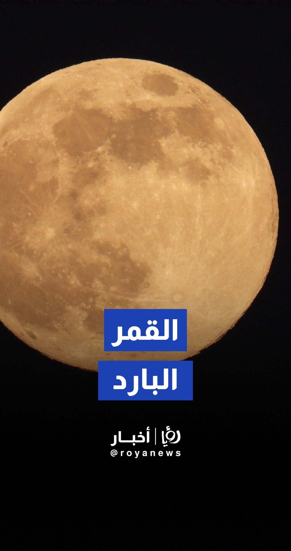 آخر قمر عملاق لهذا العام.. "القمر البارد" يضيء سماء المملكة