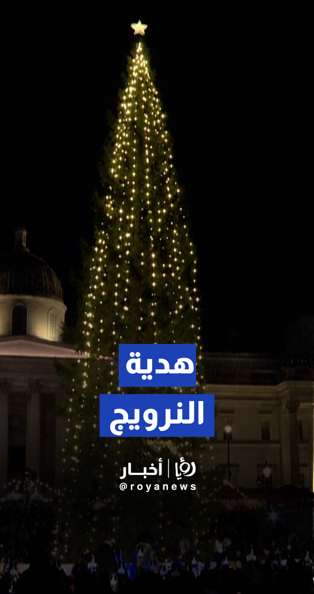 احتفال بإضاءة شجرة عيد الميلاد في ميدان ترافالغار بلندن