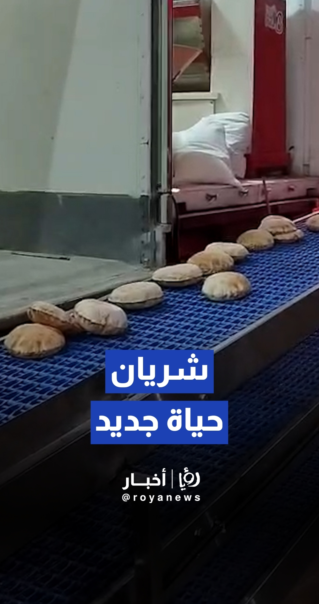 شريان حياة جديد.. بدء توزيع الخبز من المخابز الأردنية الثلاثة في قطاع غزة