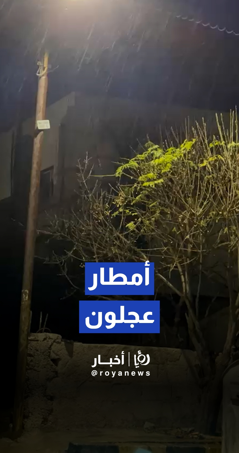 مراسل رؤيا: بدء هطول الأمطار في عجلون مع دخول المنخفض الجوي