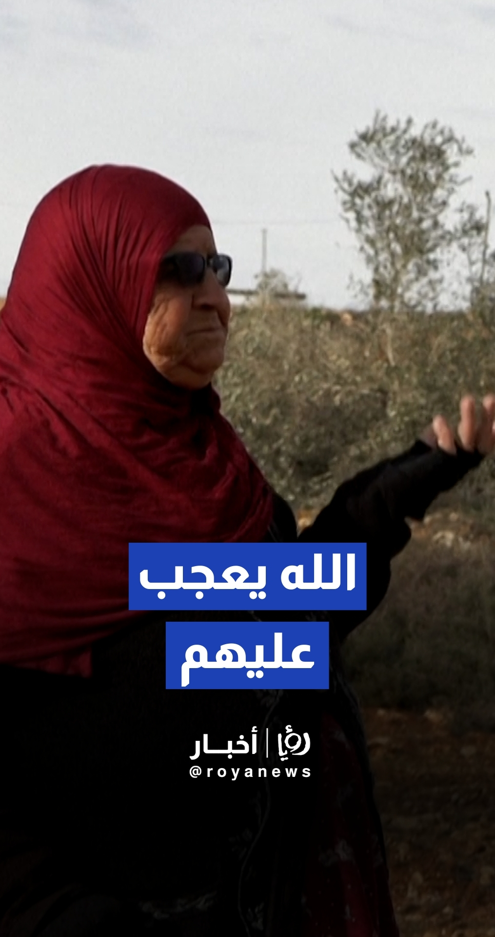 "خلعوا قلبي وأخذوا أرواحنا".. فلسطينية ترثي أشجارها التي اقتلعها المستوطنون