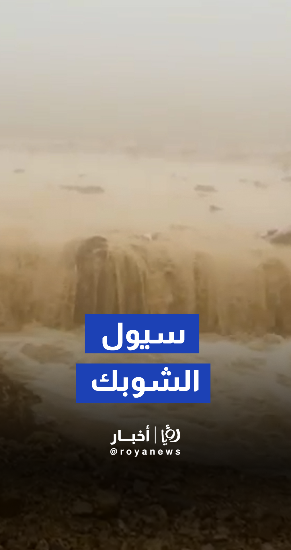 سيول جارفة في الشوبك