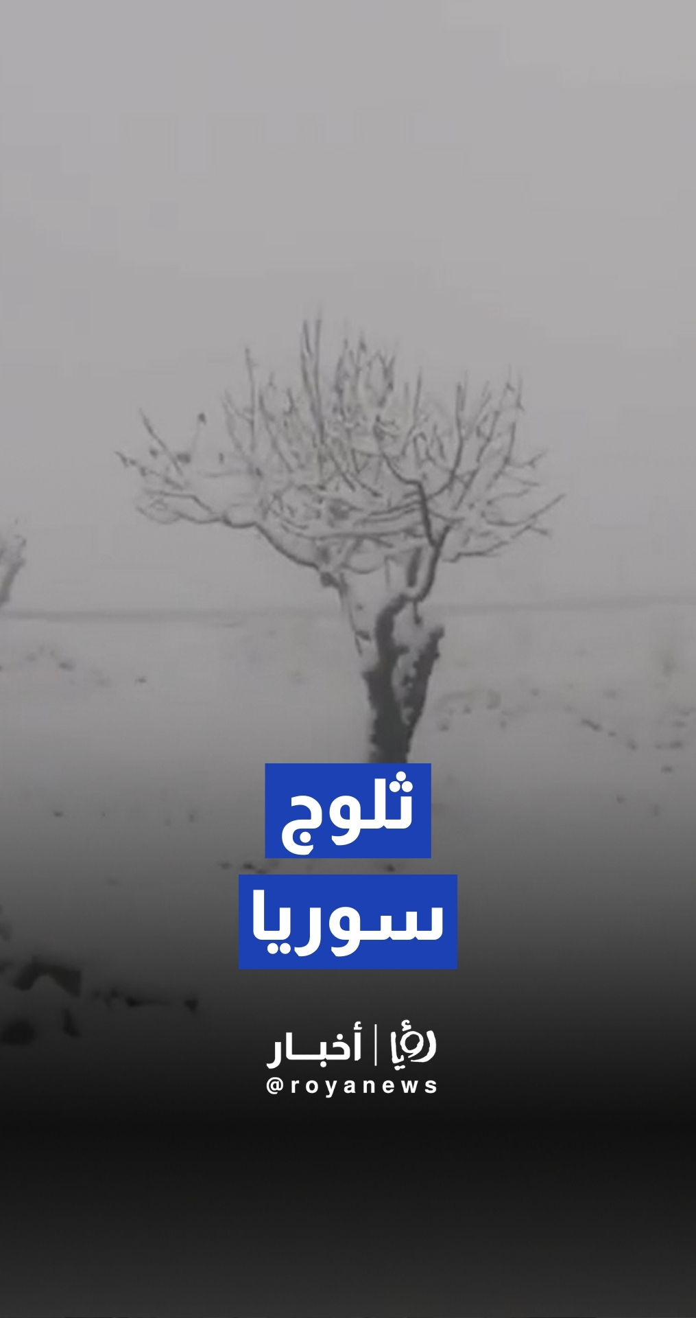 "الزائر الأبيض" يزين القلمون.. تساقط الثلوج في مرتفعات ريف دمشق