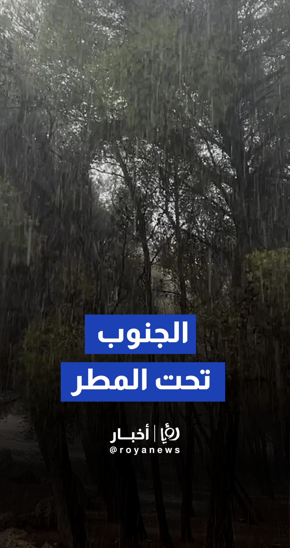 أمطار غزيرة وأجواء باردة في القادسية والرشادية