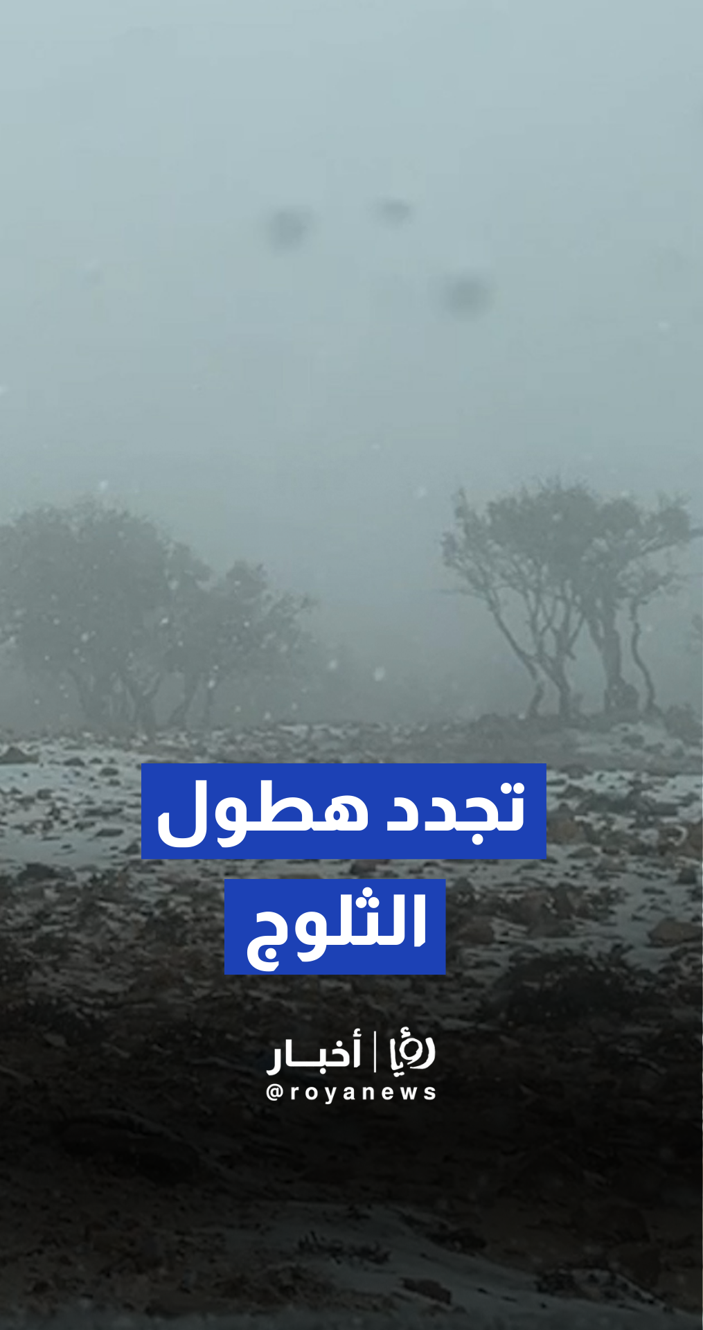 تجدد هطول الثلوج على مرتفعات الهيشة بالشوبك