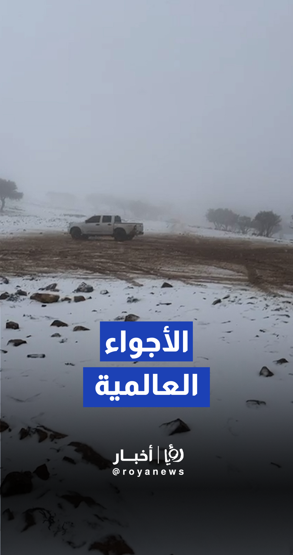 شاب يتحدى الثلوج في الشوبك