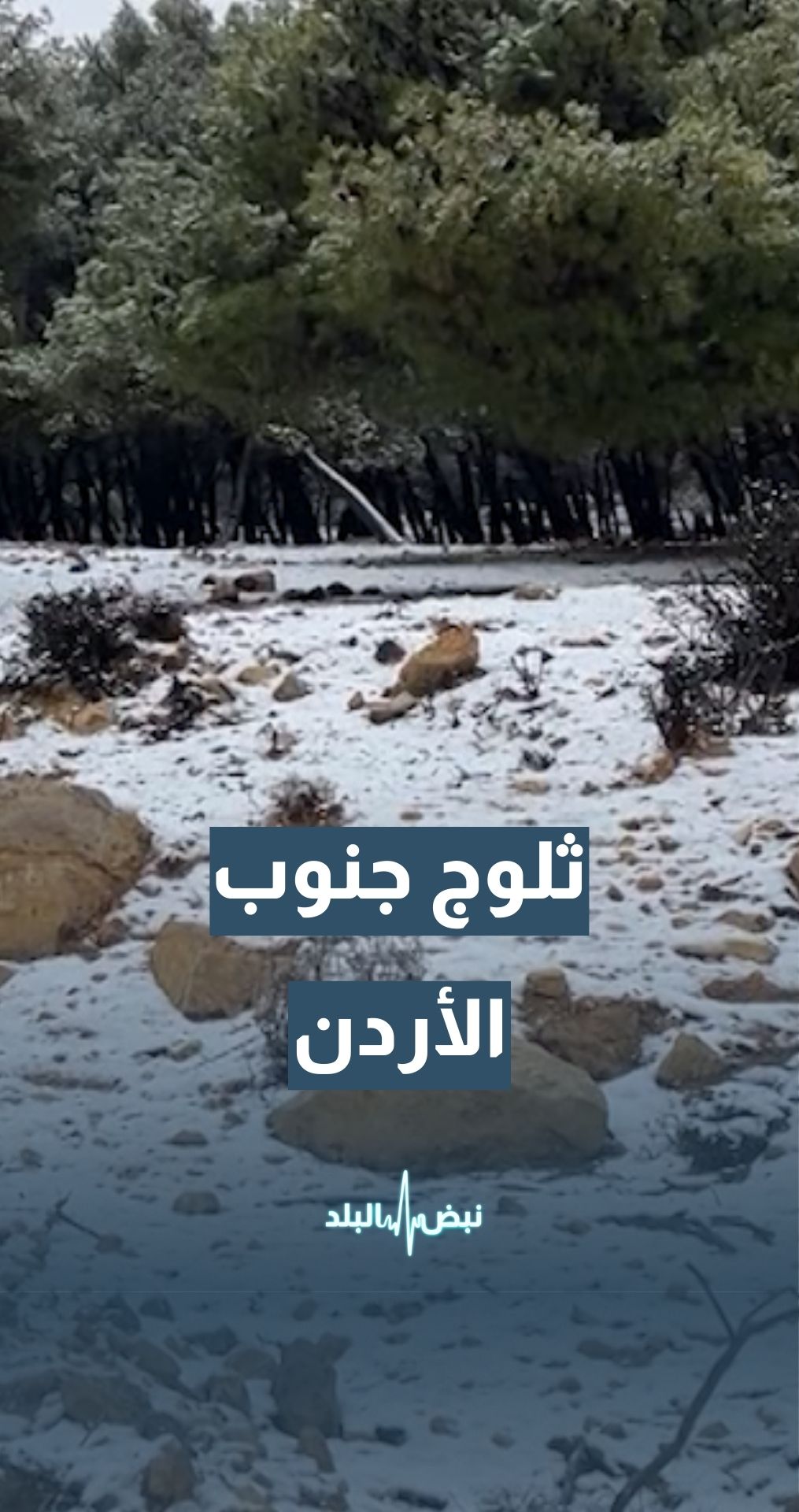 تساقط الثلوج جنوب المملكة… تفاصيل من المستشار في طقس العرب جمال الموسى