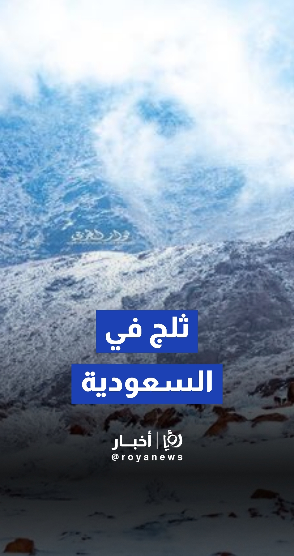 لأول مرة هذا الشتاء.. جبل اللوز في السعودية يرتدي "الحلة البيضاء" الساحرة