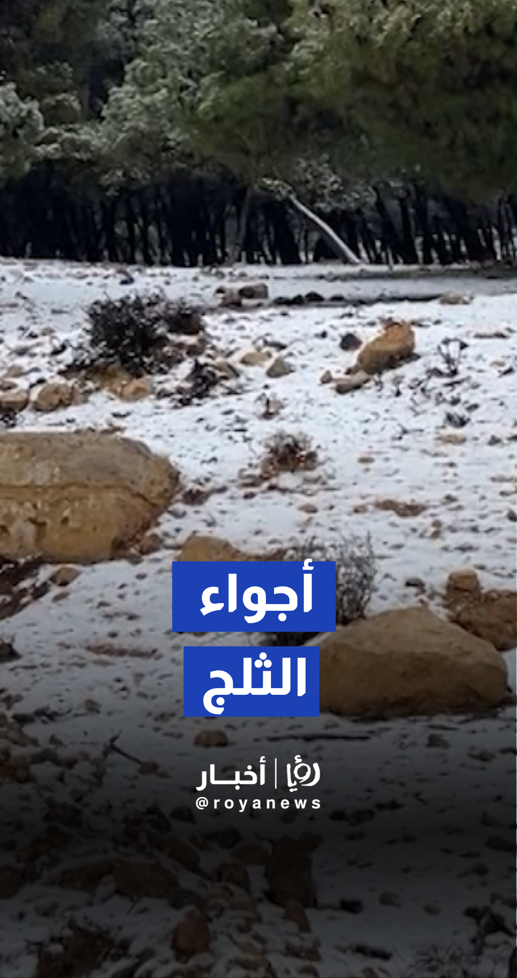 الأجواء بعد تساقط الثلوج في الهيشة بالشوبك