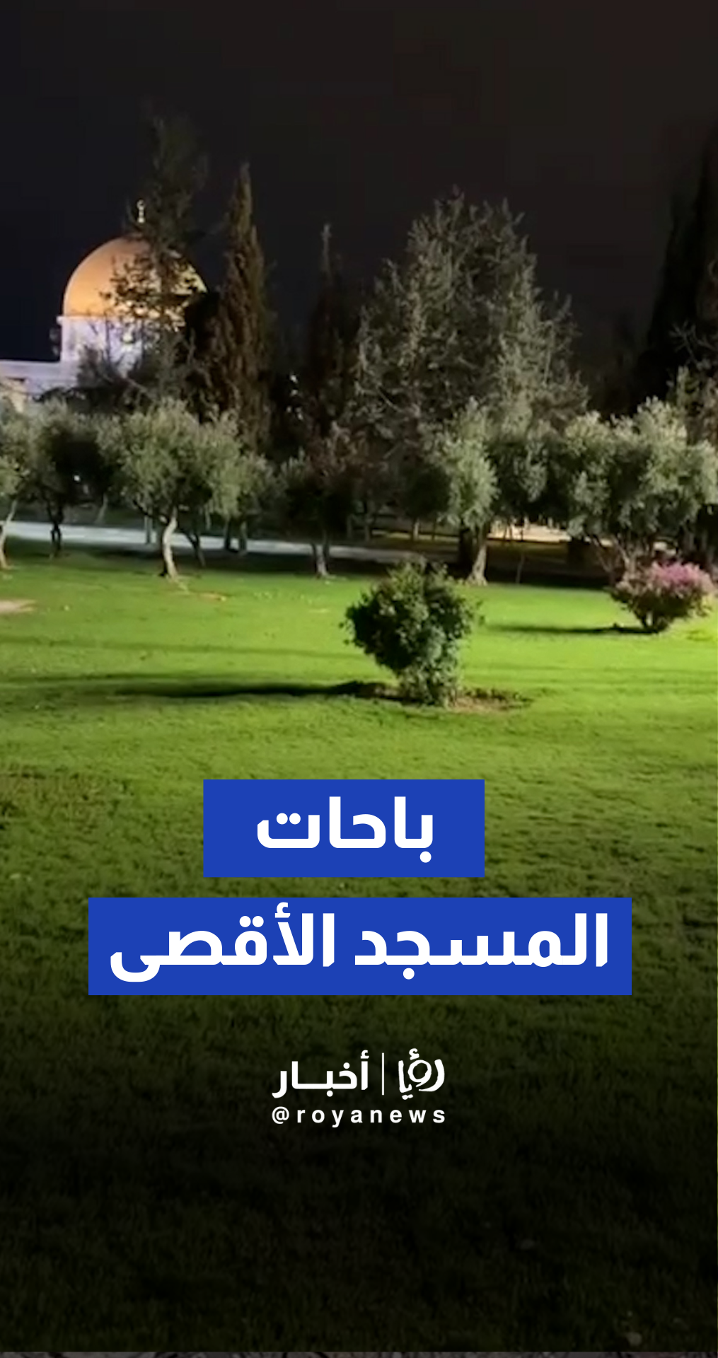 أجواء الفجر في باحات المسجد الأقصى