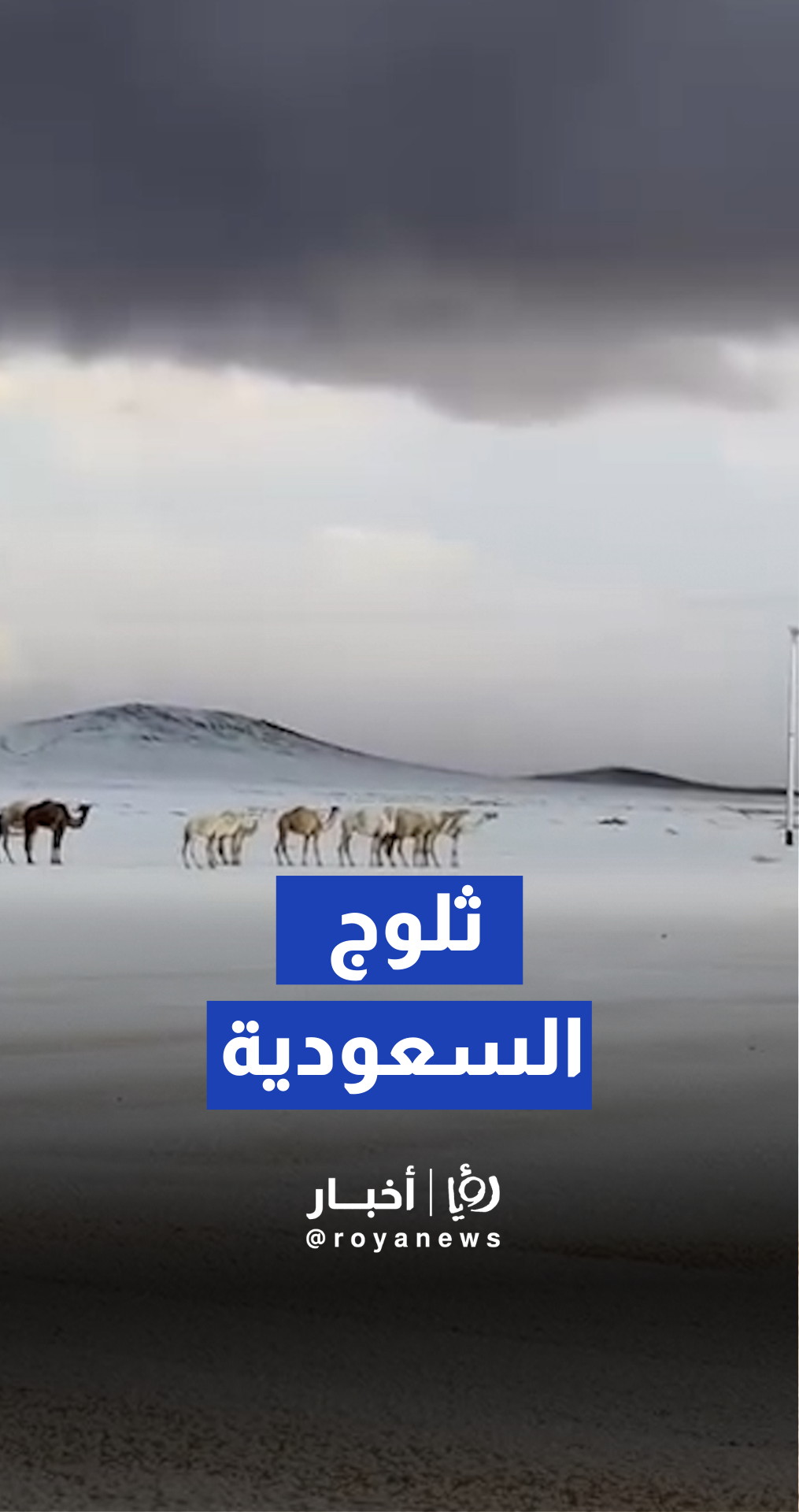 تغيرات جوية مفاجئة تؤدي إلى تساقط الثلوج في السعودية