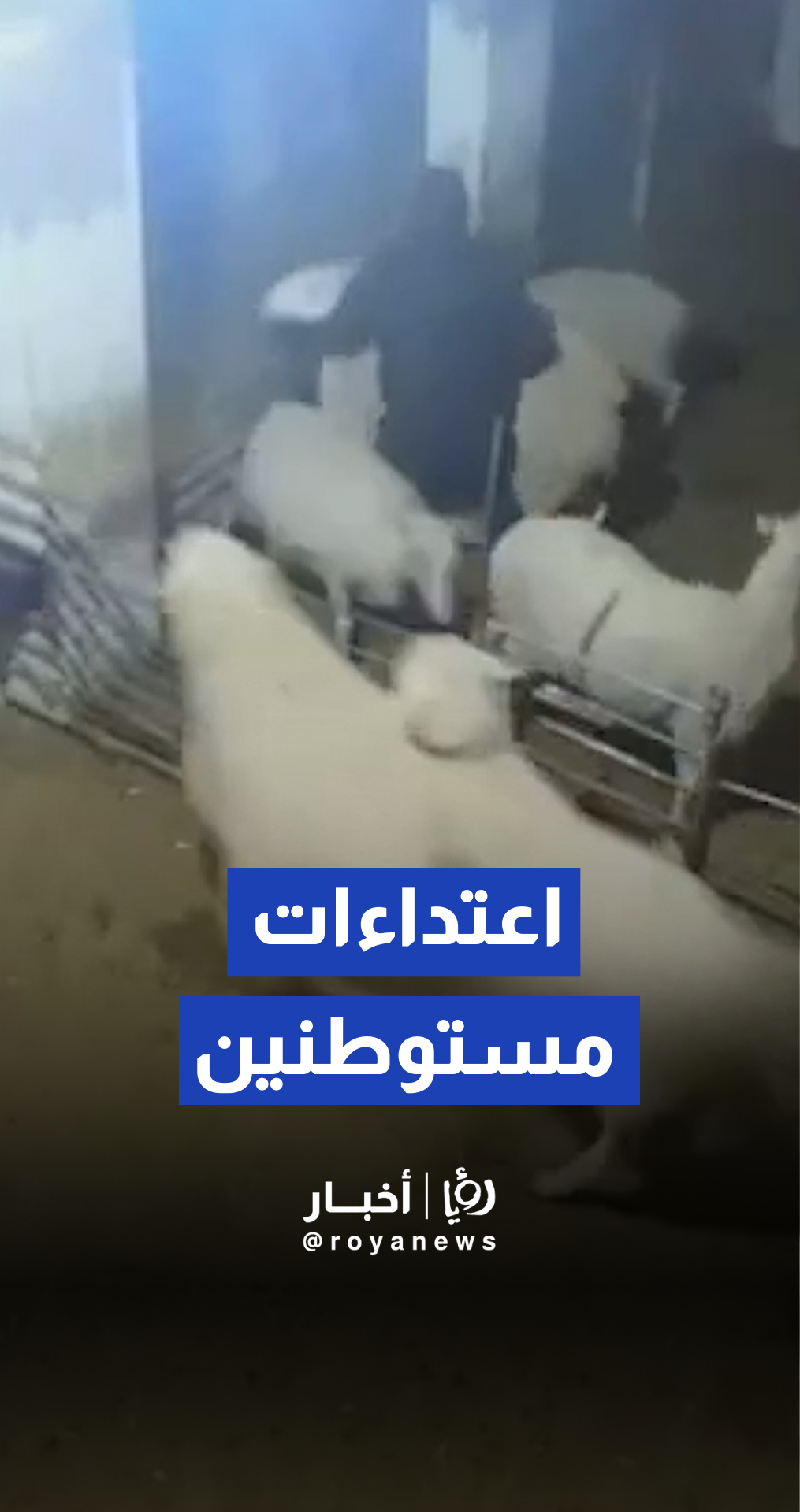 اعتداءات نفذها مستوطنين في منطقة وادي جحيش بتلال جنوب الخلي