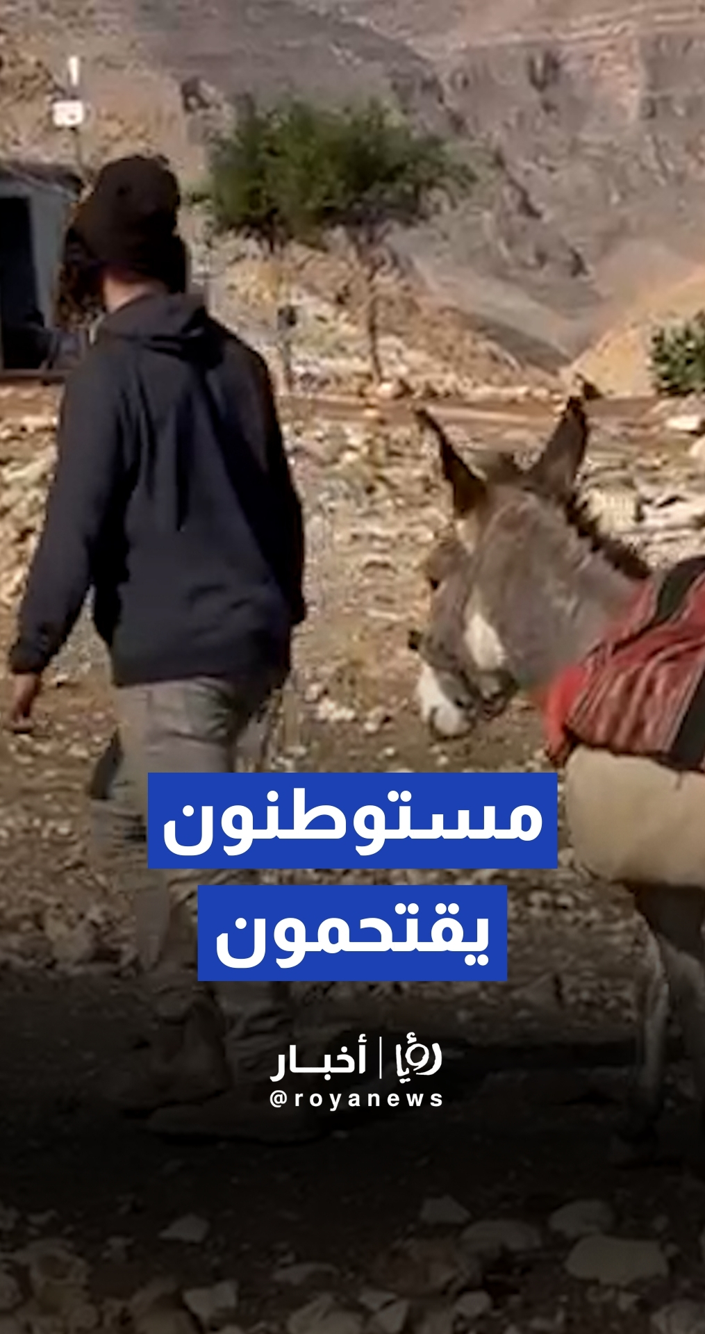 مستوطنون يقتحمون قرية شلال العوجا شمال مدينة أريحا