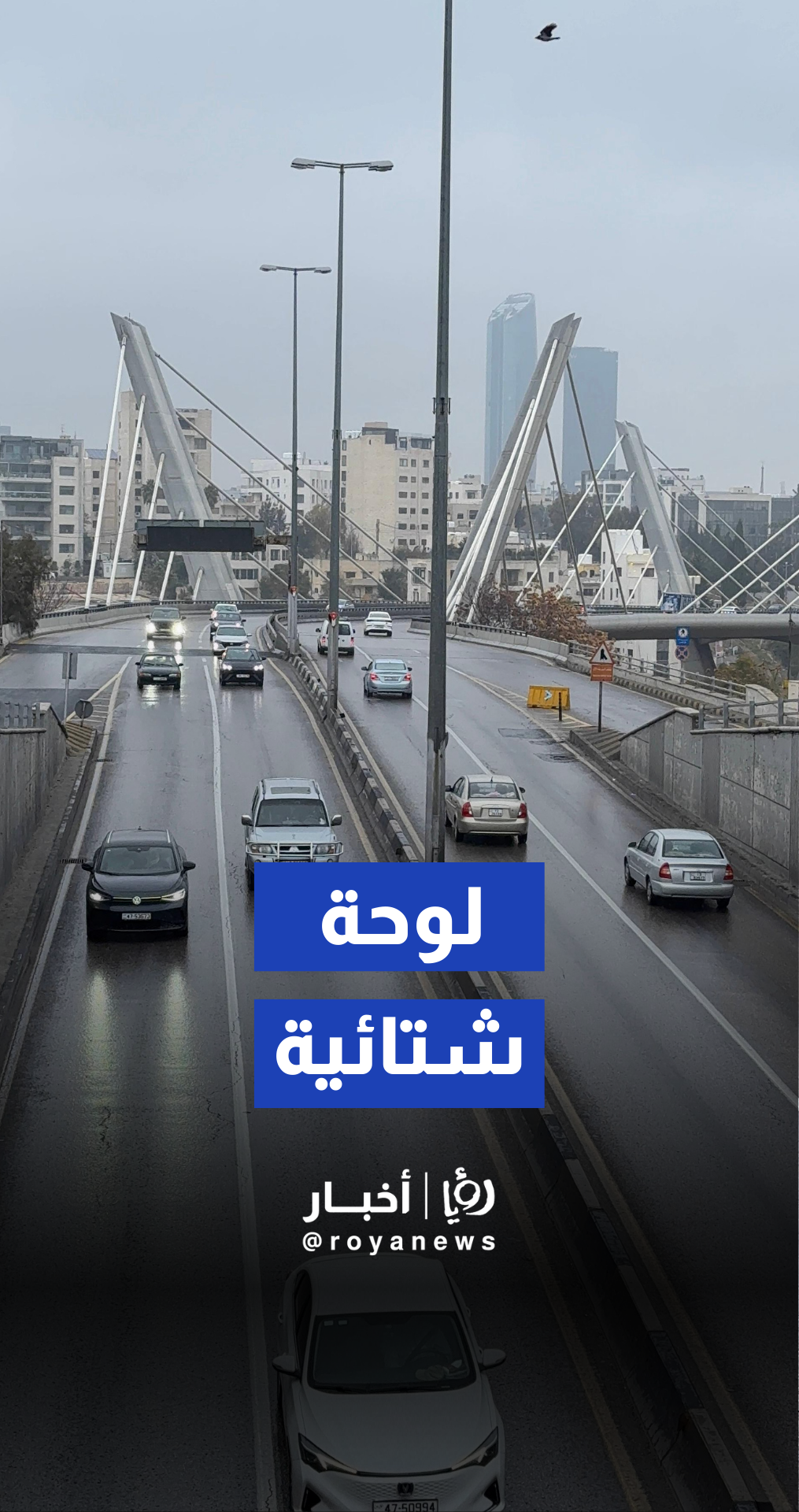 حين تعانق حبات المطر عمان .. لوحة شتائية من قلب العاصمة الأردنية