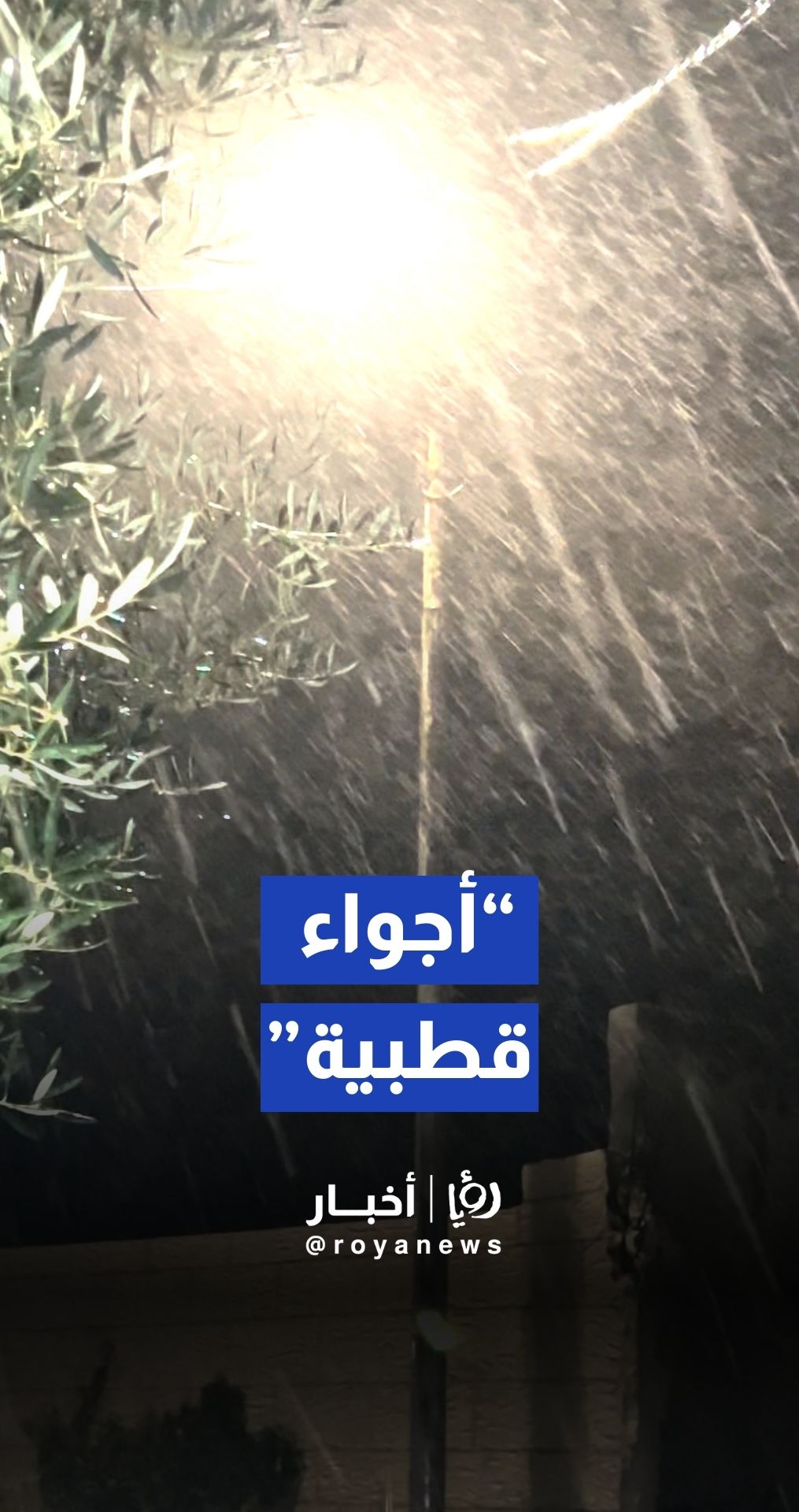 تساقط كثيف لحبات البرد في محافظة عجلون شمال المملكة