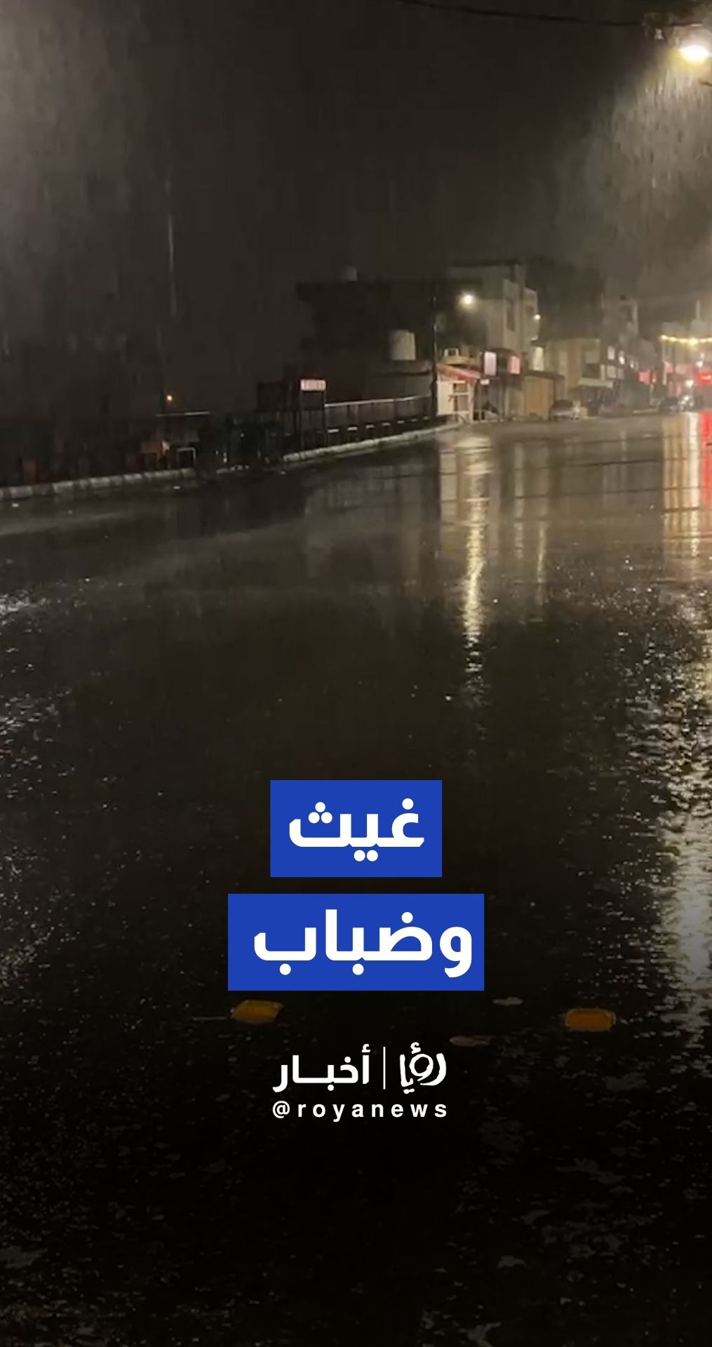 هطول أمطار غزيرة في محافظة الطفيلة وتدني مدى الرؤية الأفقية