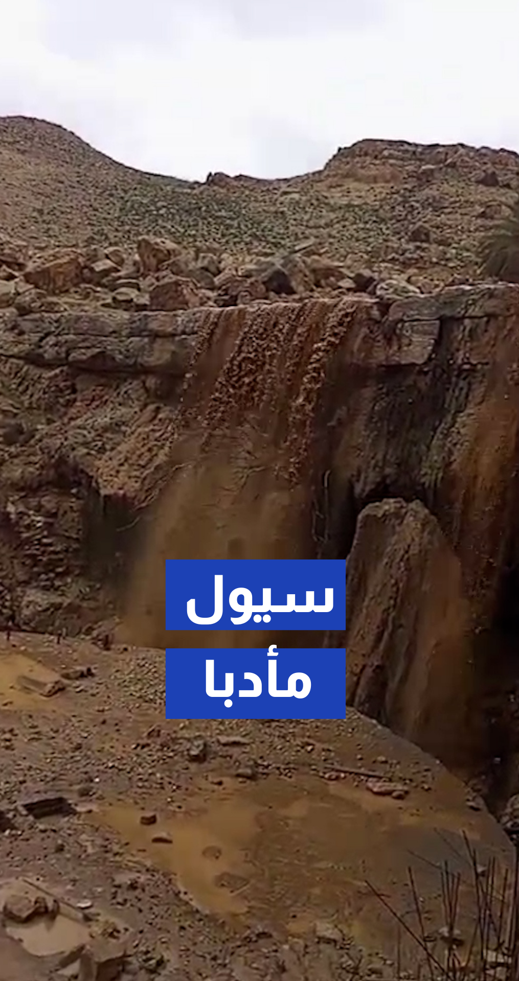 سيول في عيون موسى