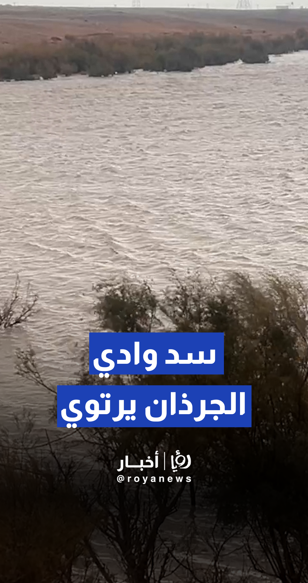 ارتفاع مخزون المياه في سد وادي الجرذان بمحافظة معان عقب الأمطار