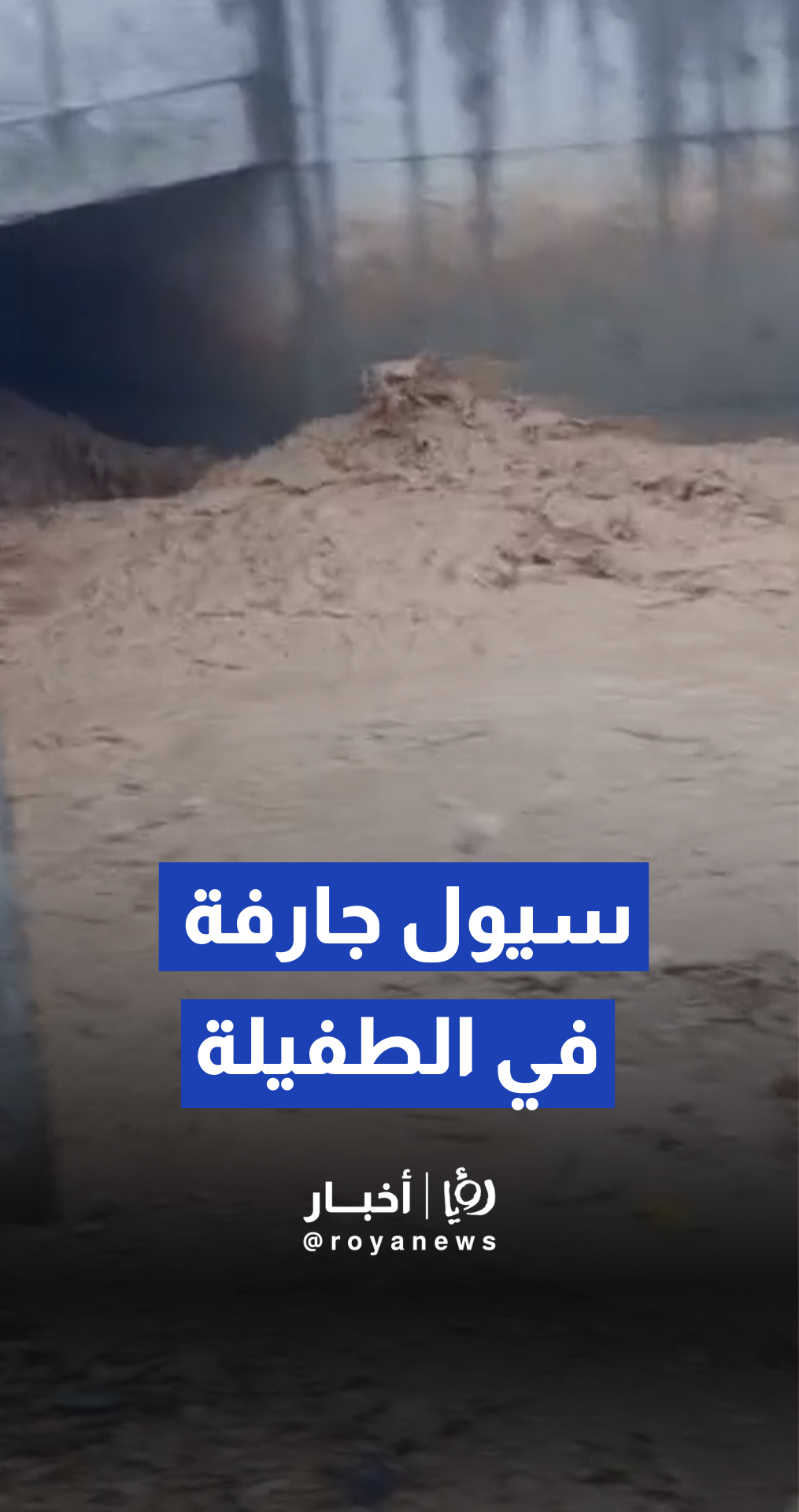 سيول جارفة وارتفاع منسوب المياه في الطفيلة