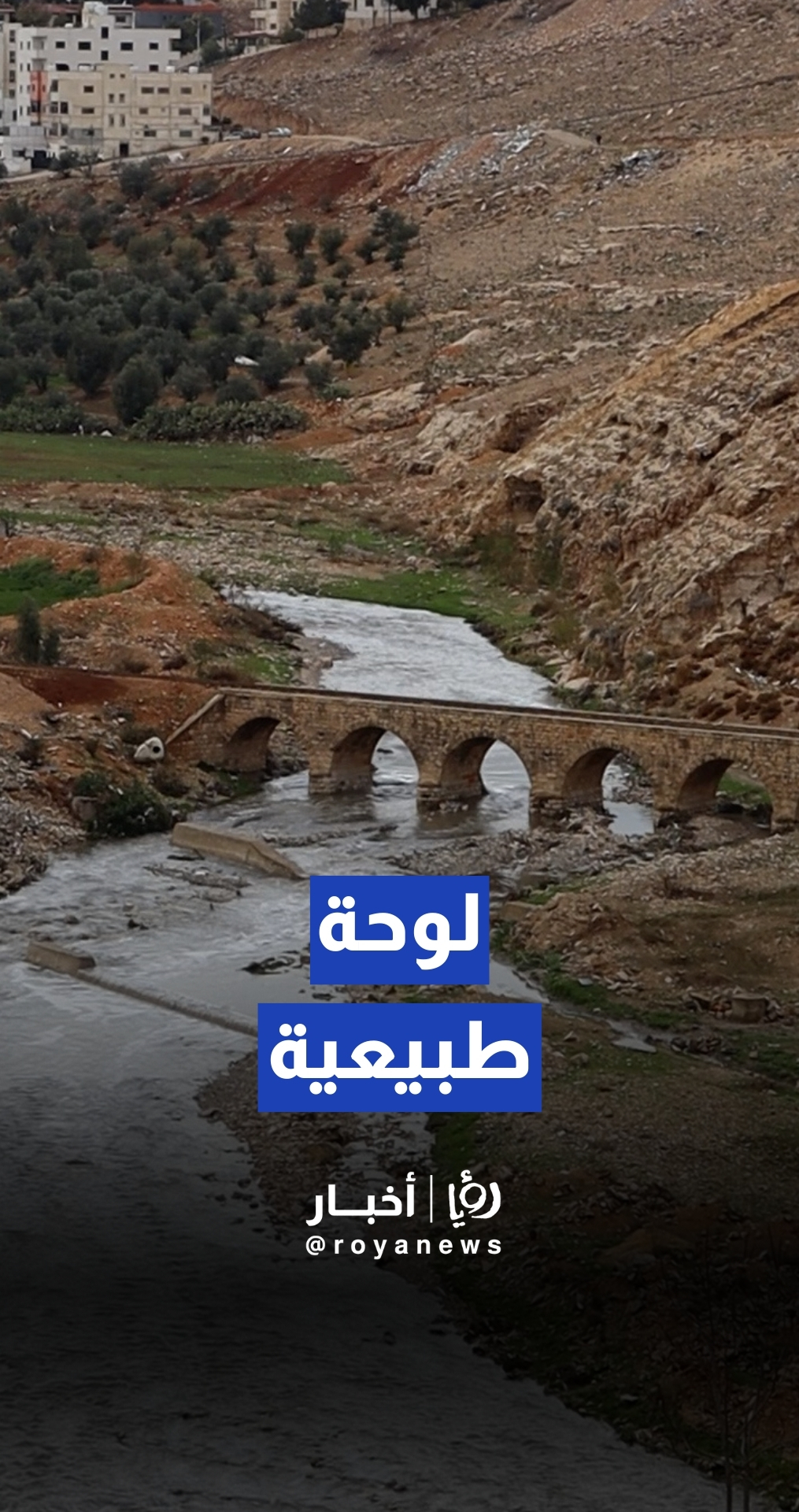 "لوحة طبيعية".. جريان مياه الأمطار في سيل الزرقاء بمنطقة عين غزال