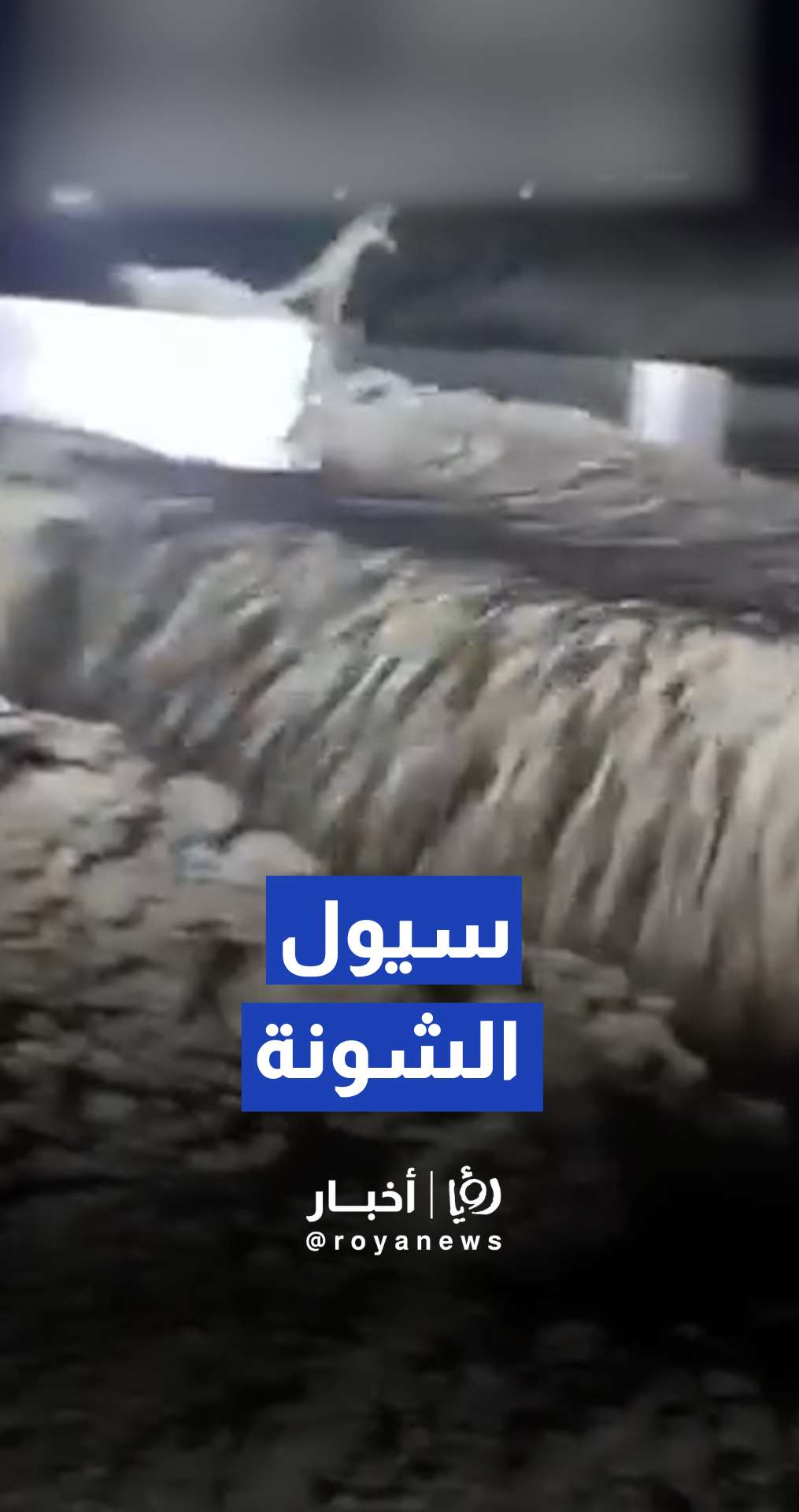 سيول جارفة وأمطار في الشونة الوسطى