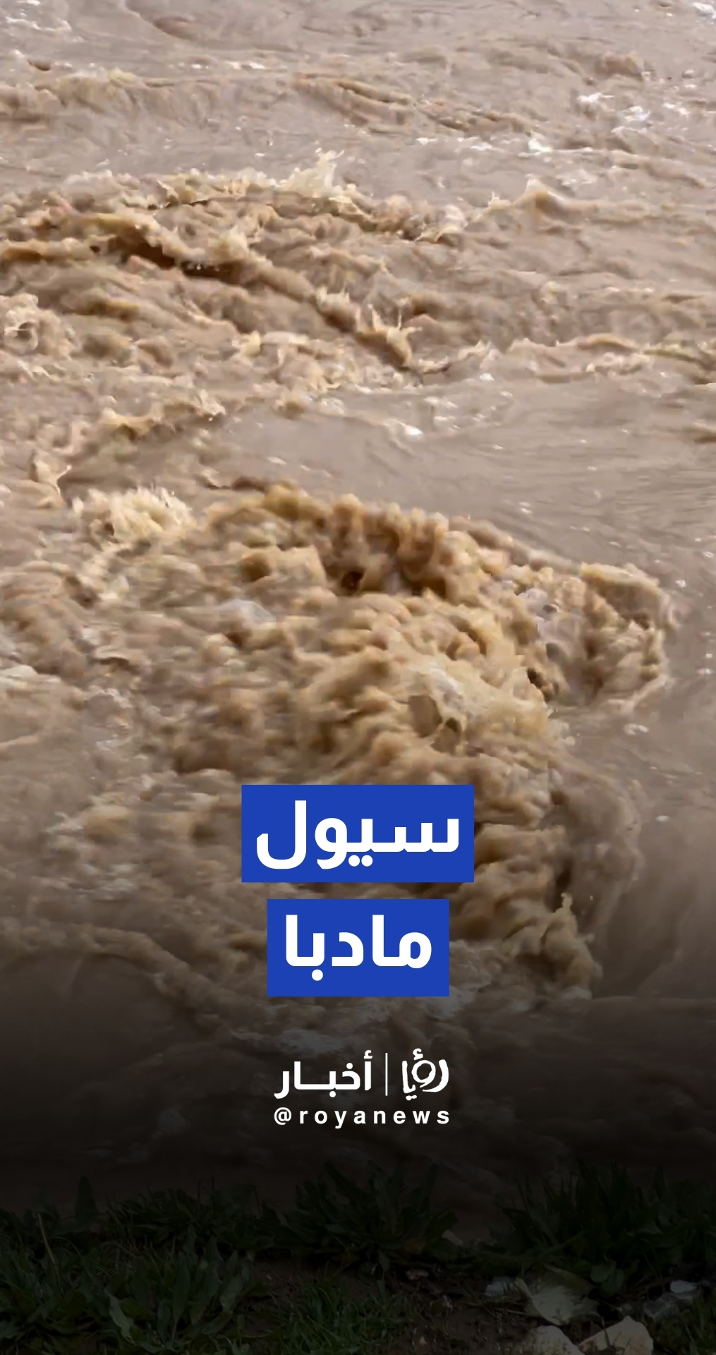 تشكل السيول في مادبا.. وتحذيرات من الاقتراب من مجاري الأودية