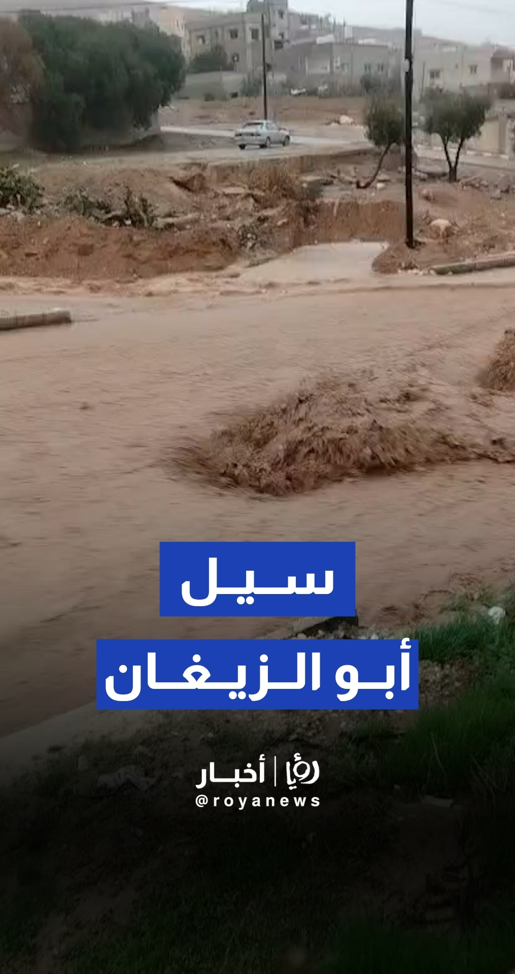 سيول من مياه الأمطار في أبو الزيغان