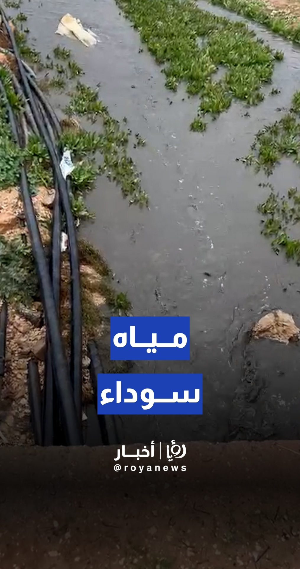 تدفق مياه سوداء في واد ملاصق لمحطة تنقية مادبا تزامنا مع الأمطار