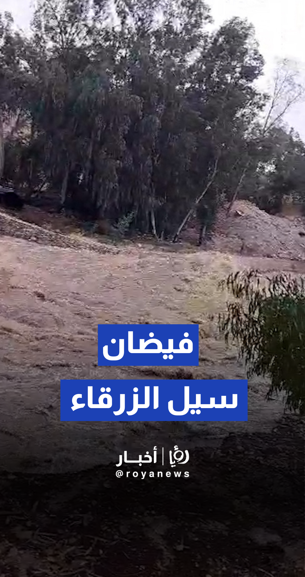 تدفق وارتفاع منسوب المياه في سيل الزرقاء