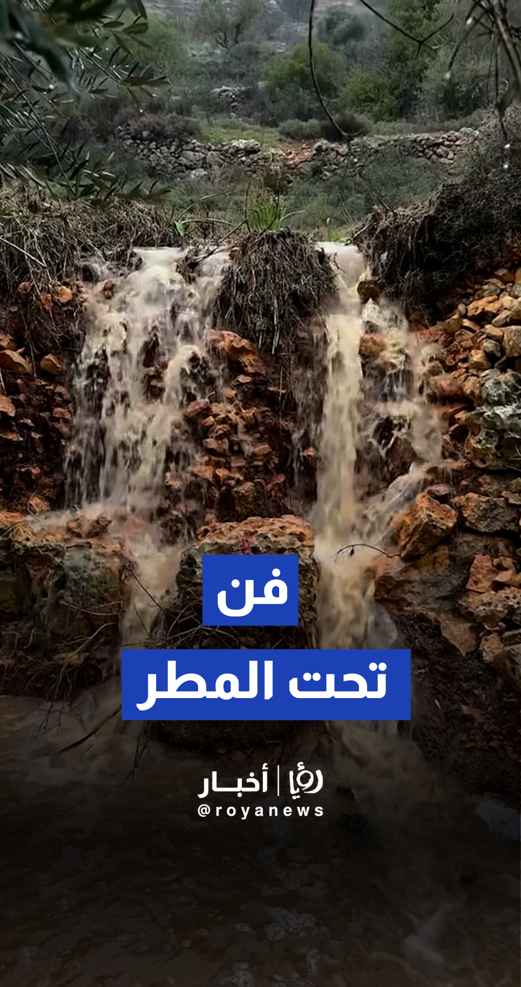 ركض تحت الغيث وعدسة لا تتوقف.. الريماوي ينقل أجواء المنخفض بلمسة فنية