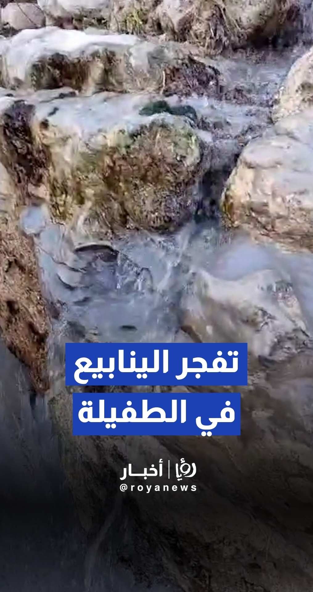 تفجر الينابيع في الطفيلة عقب المنخفضات الجوية الأخيرة