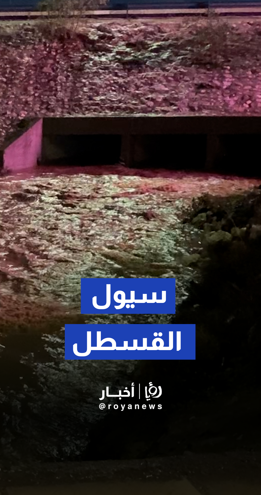 أمطار غزيرة تؤدي إلى تدفق وارتفاع منسوب المياه في شوارع القسطل