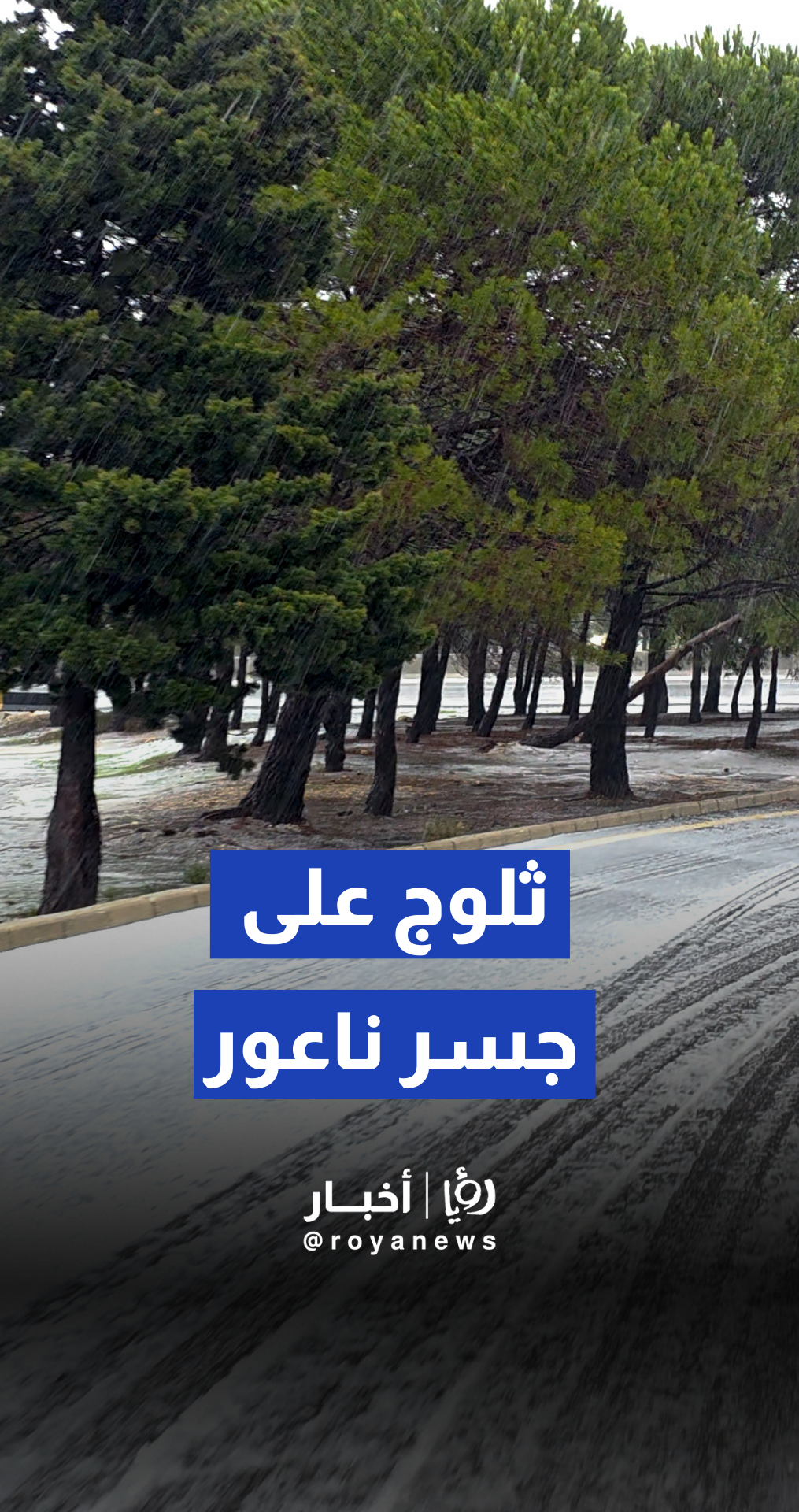 ثلوج على جسر ناعور.. ودعوات للسائقين للقيادة بحذر