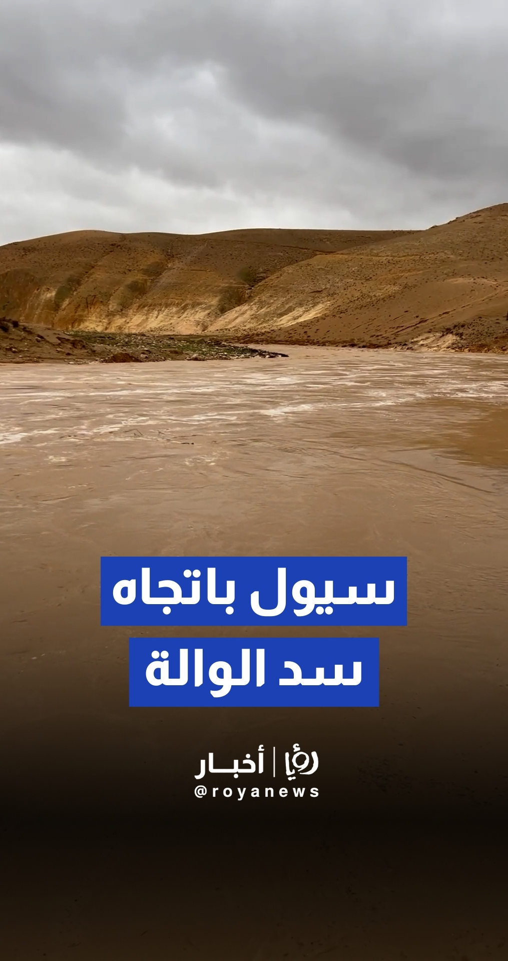 سيول قوية جدا تتجه من وادي الرميل لتعزيز مخزون سد الوالة