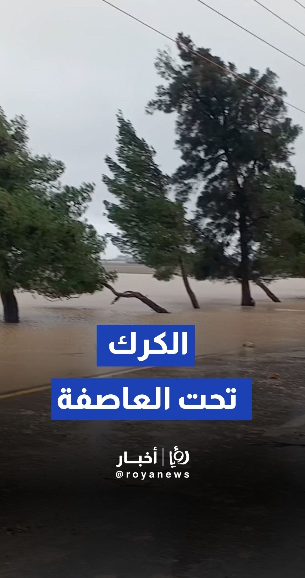 ارتفاع منسوب المياه في طرقات محافظة الكرك نتيجة الأمطار الغزيرة