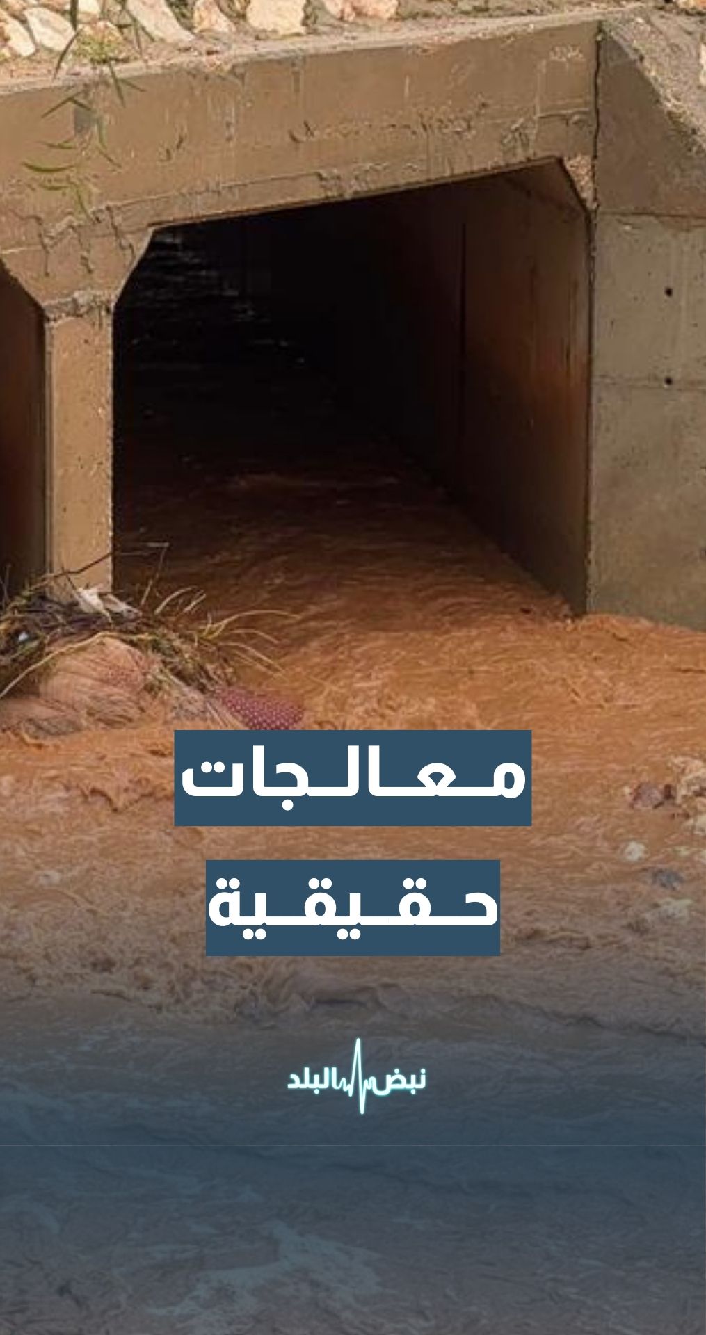 الناطق الإعلامي باسم أمانة عمان الكبرى د.ناصر الرحامنة: أنفاق طريق الخدمات على شارع المطار سيتم إجراء معالجة حقيقة لها