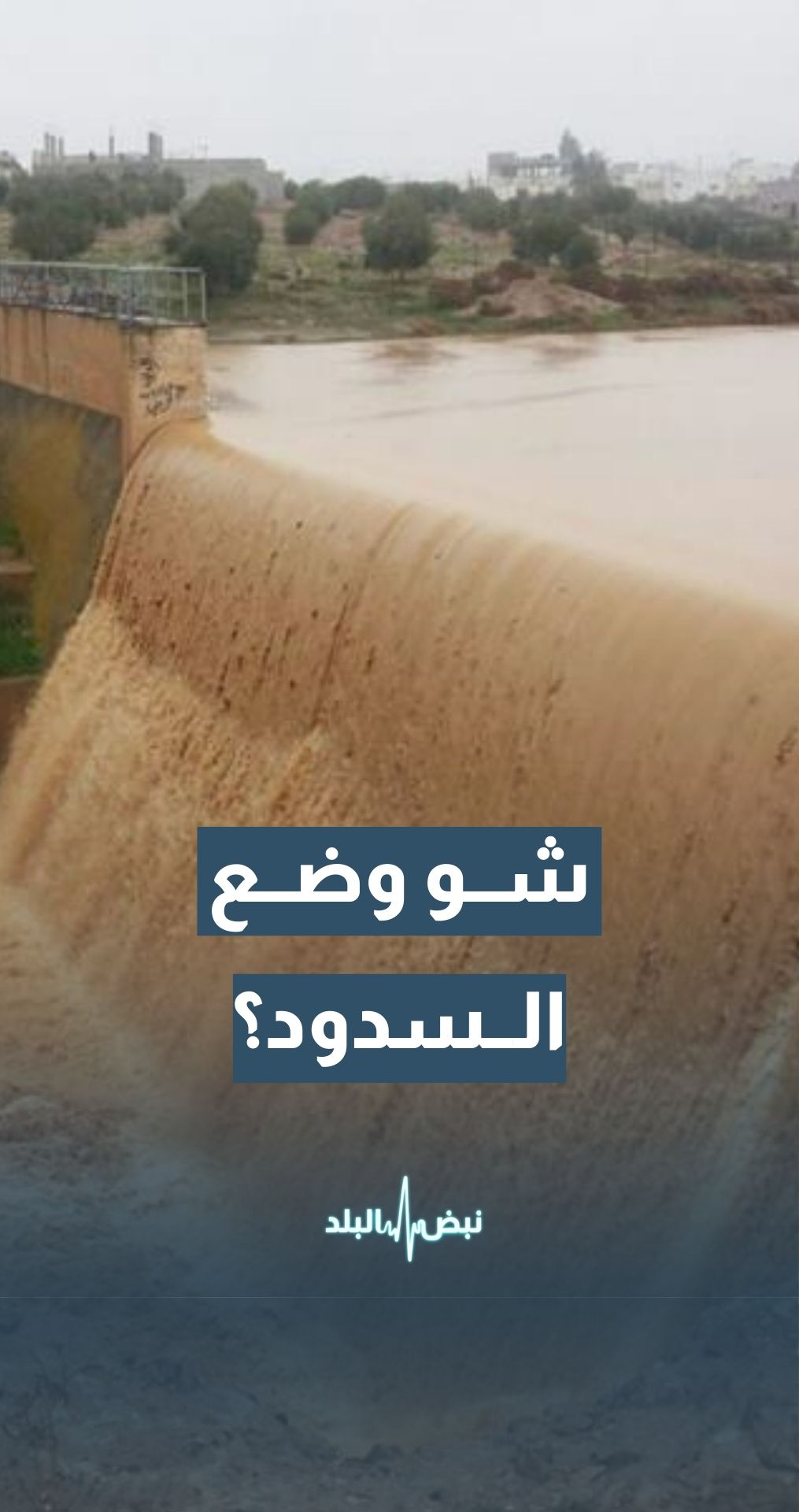 كم كميات الأمطار التي دخلت السدود وما السدود التي امتلأت؟ مساعد أمين عام وزارة المياه لشؤون الإعلام عمر سلامة يجيب
