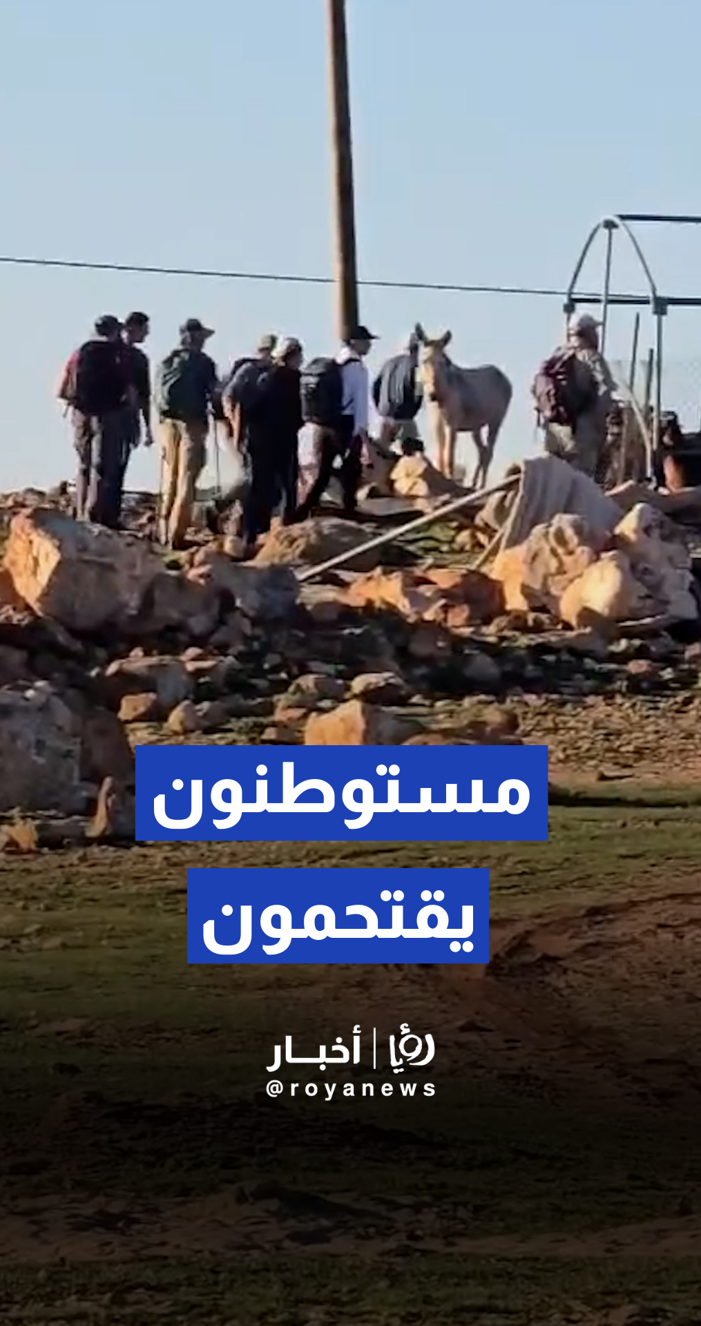 مستوطنون يقتحمون منطقة برية الشيوخ شمال مدينة الخليل