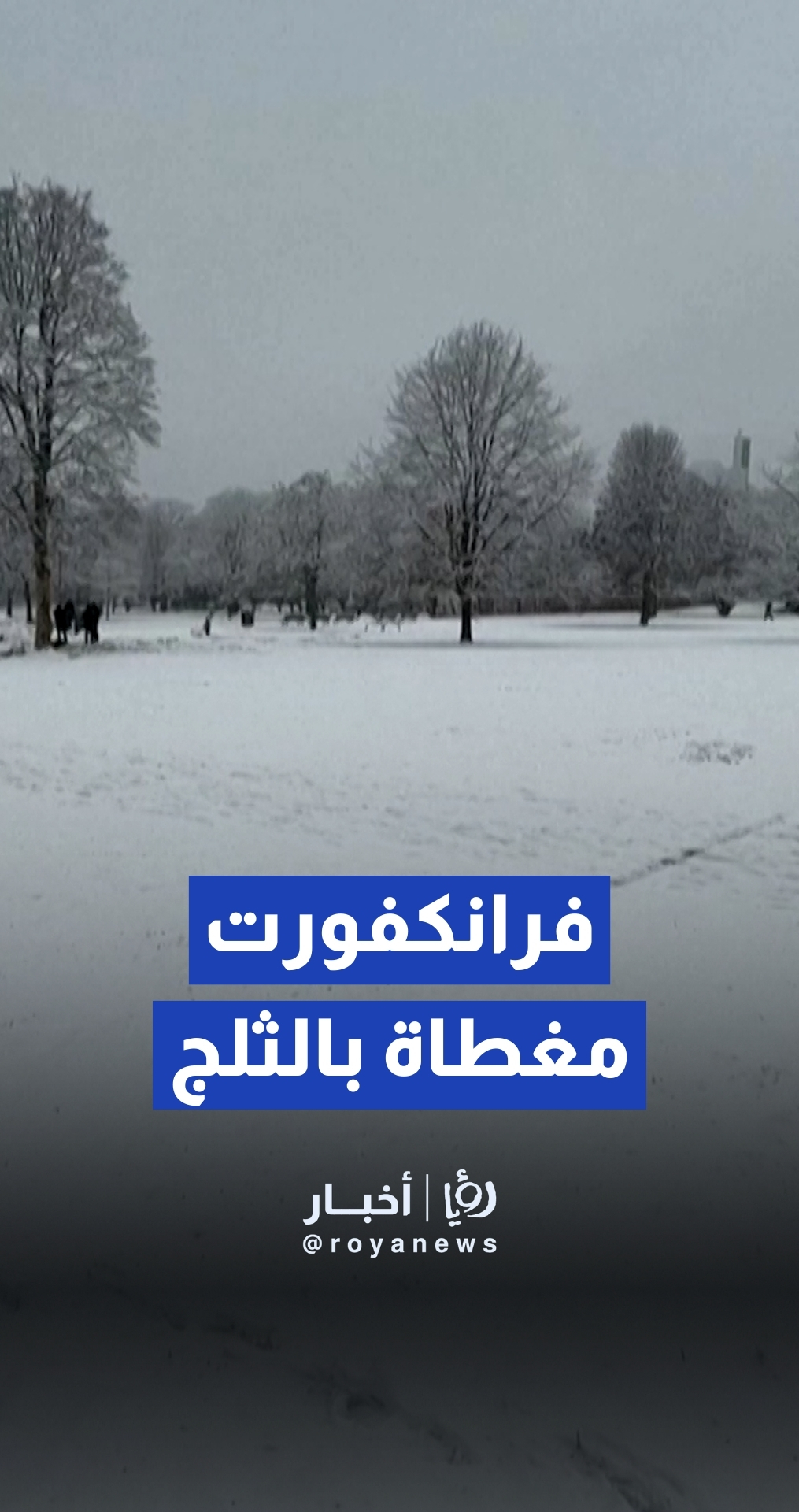 تساقط كثيف للثلوج يضرب فرانكفورت ويغطي المدينة بالكامل خلال ساعات