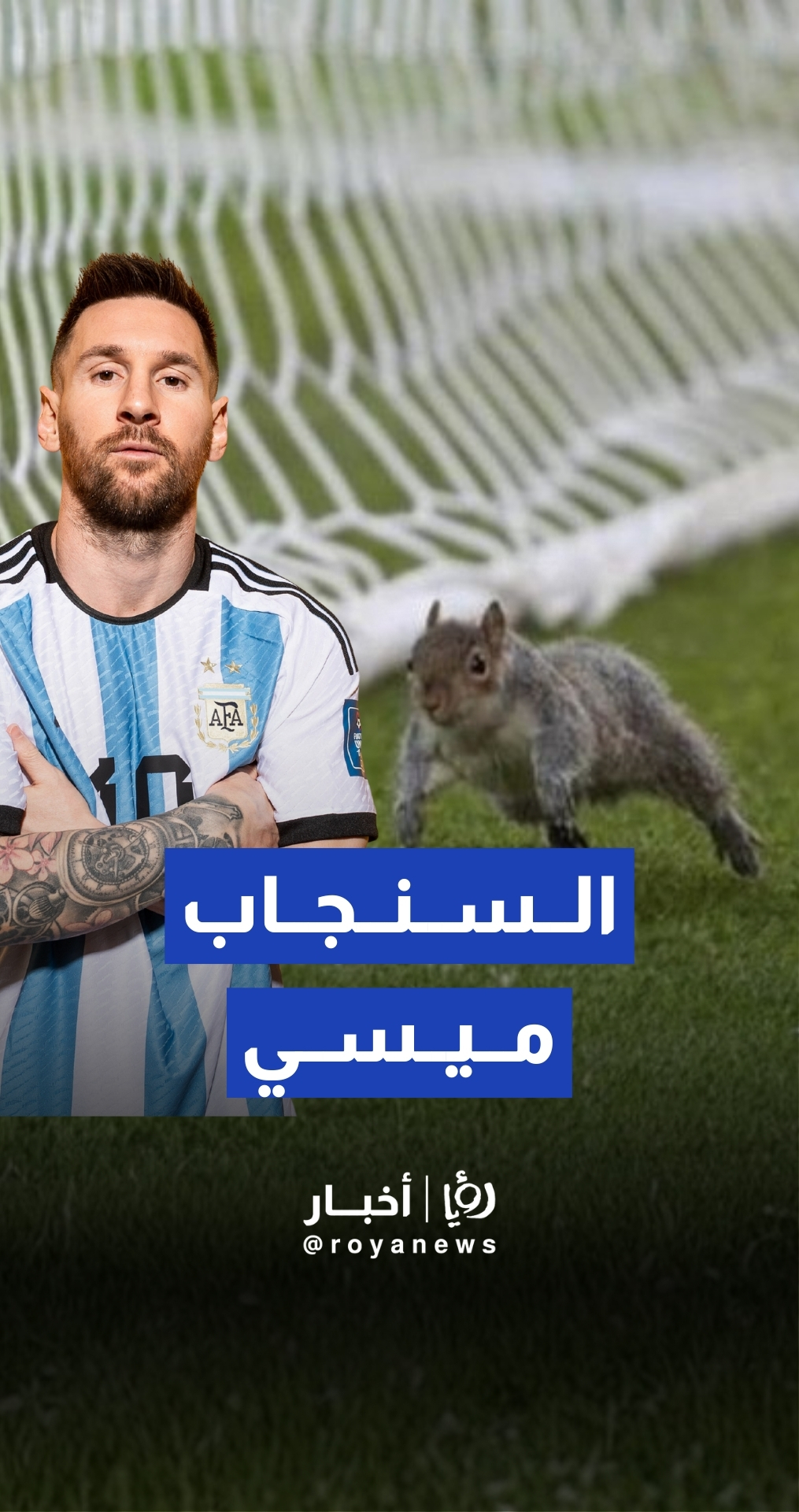 "سنجاب مشاغب" يخطف الأضواء في الدوري الإنجليزي.. ويوقف المباراة