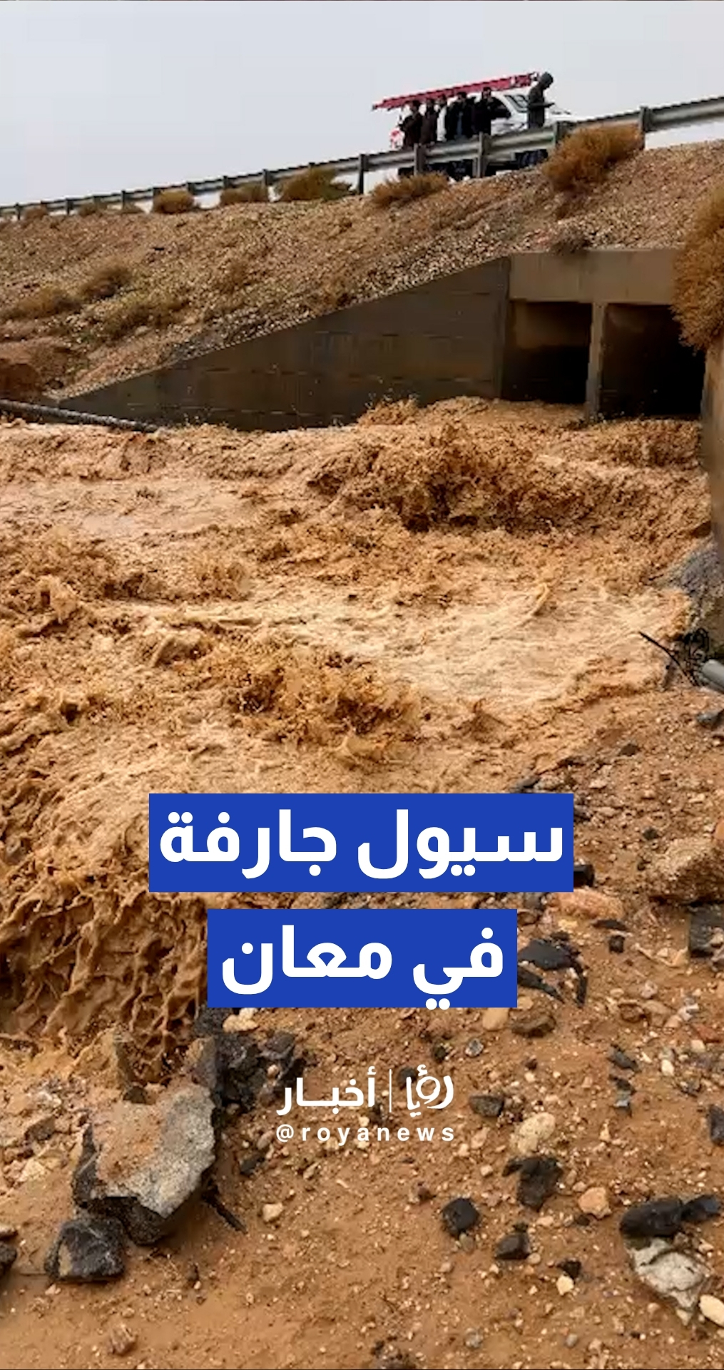 لواء الحسينية بمحافظة معان يشهد تشكل سيول جارفة جراء الحالة الجوية السائدة